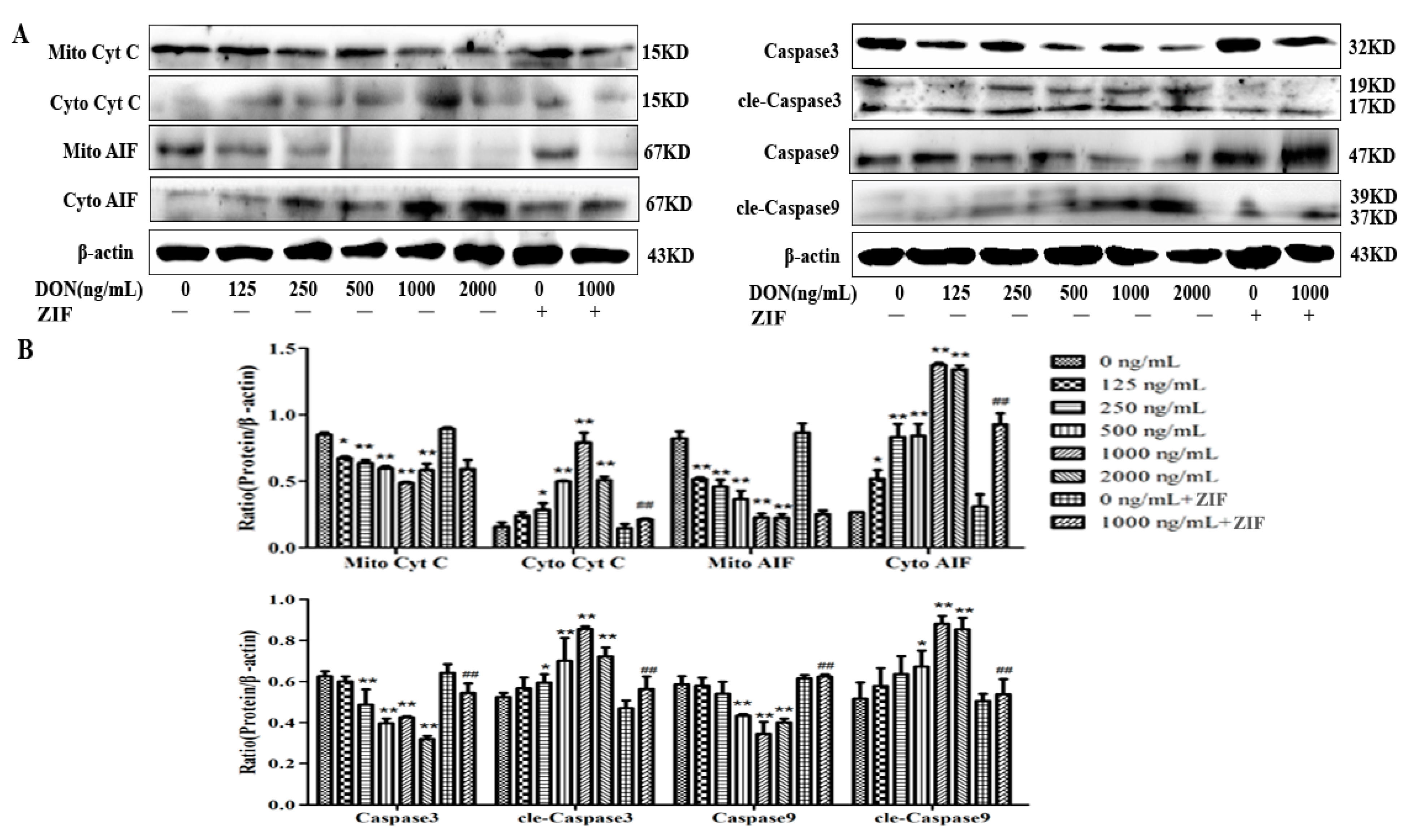 Toxins 13 00073 g005 Toxins 13 00073 g005