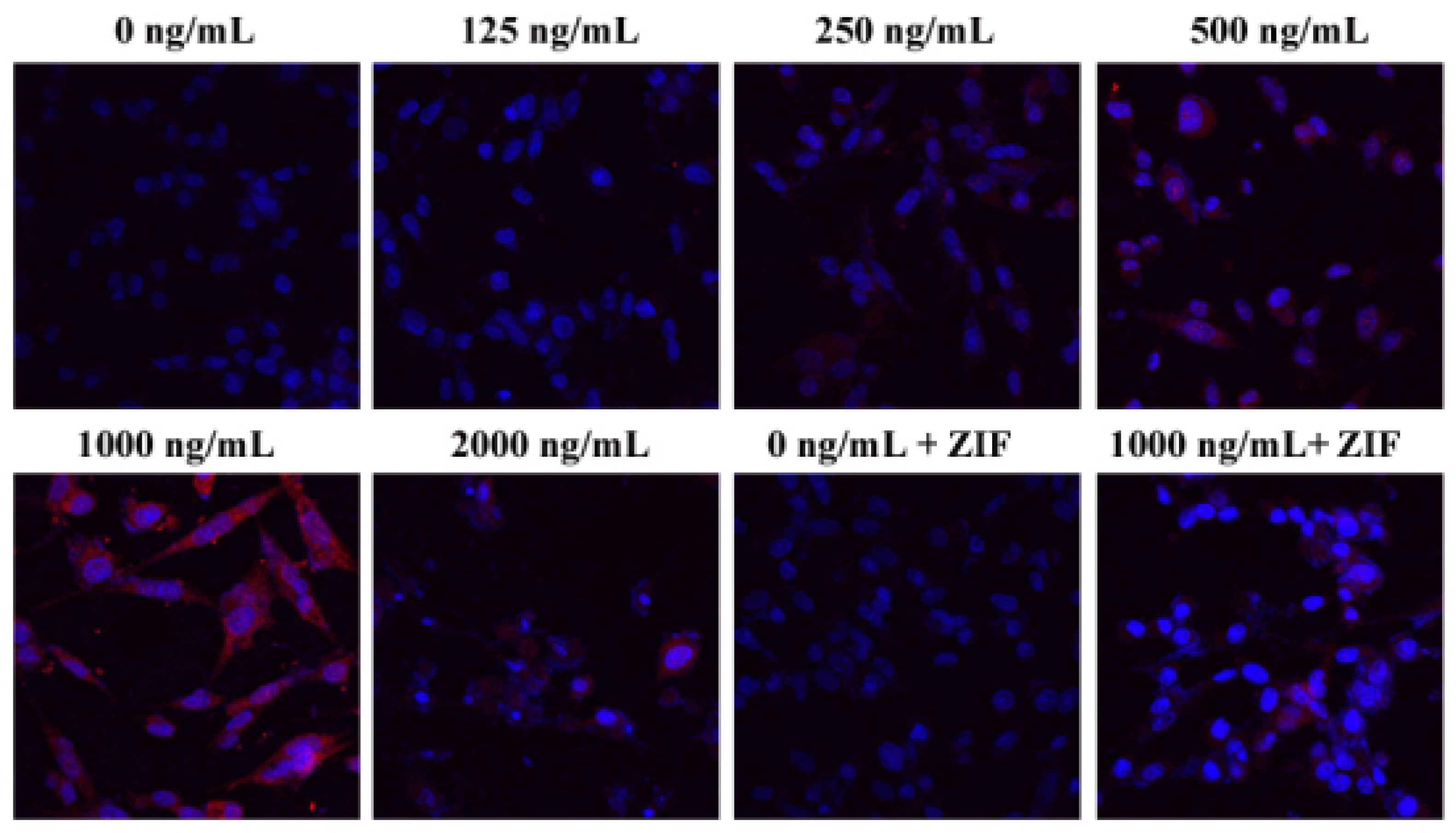 Toxins 13 00073 g006 Toxins 13 00073 g006