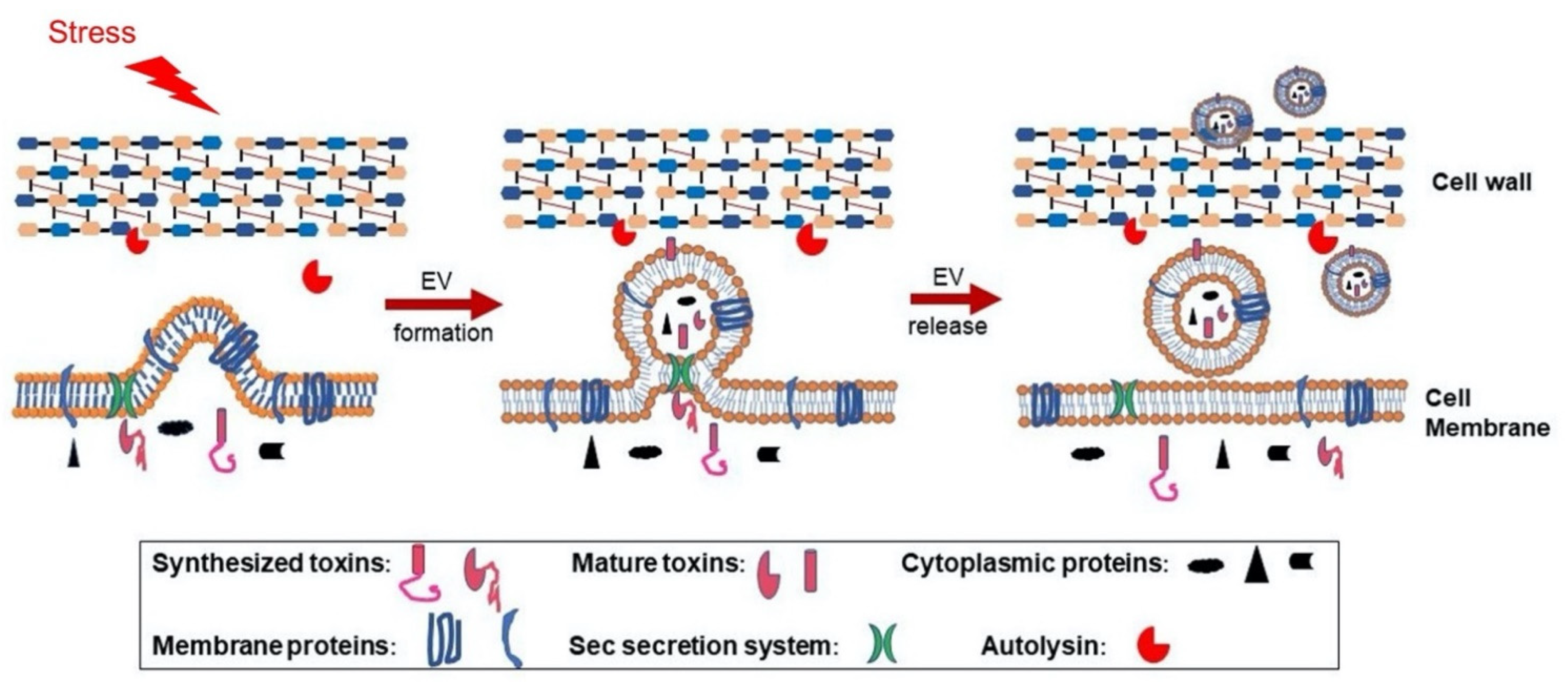 Toxins 13 00075 g001