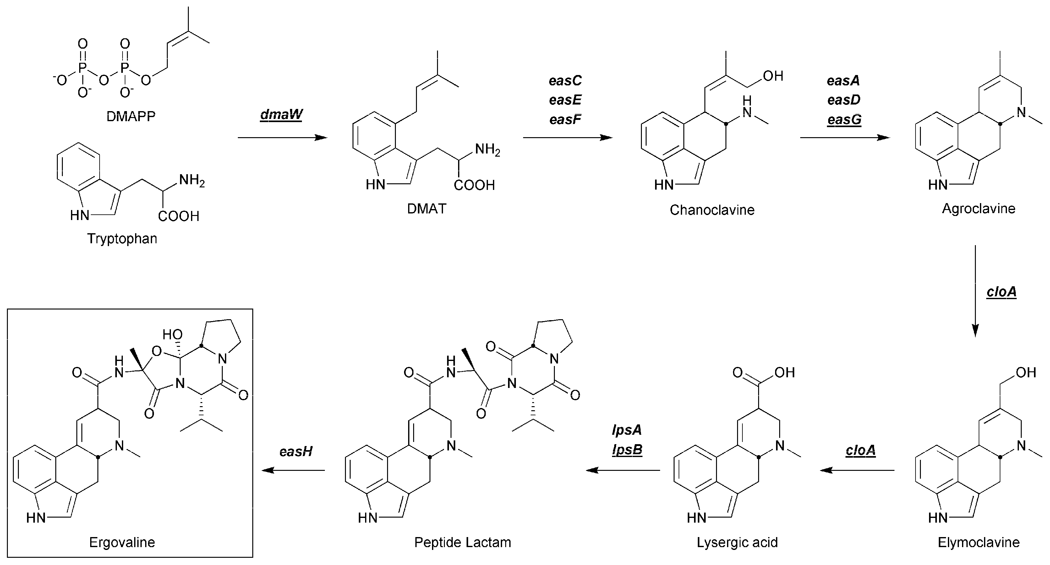 Toxins 13 00076 g001