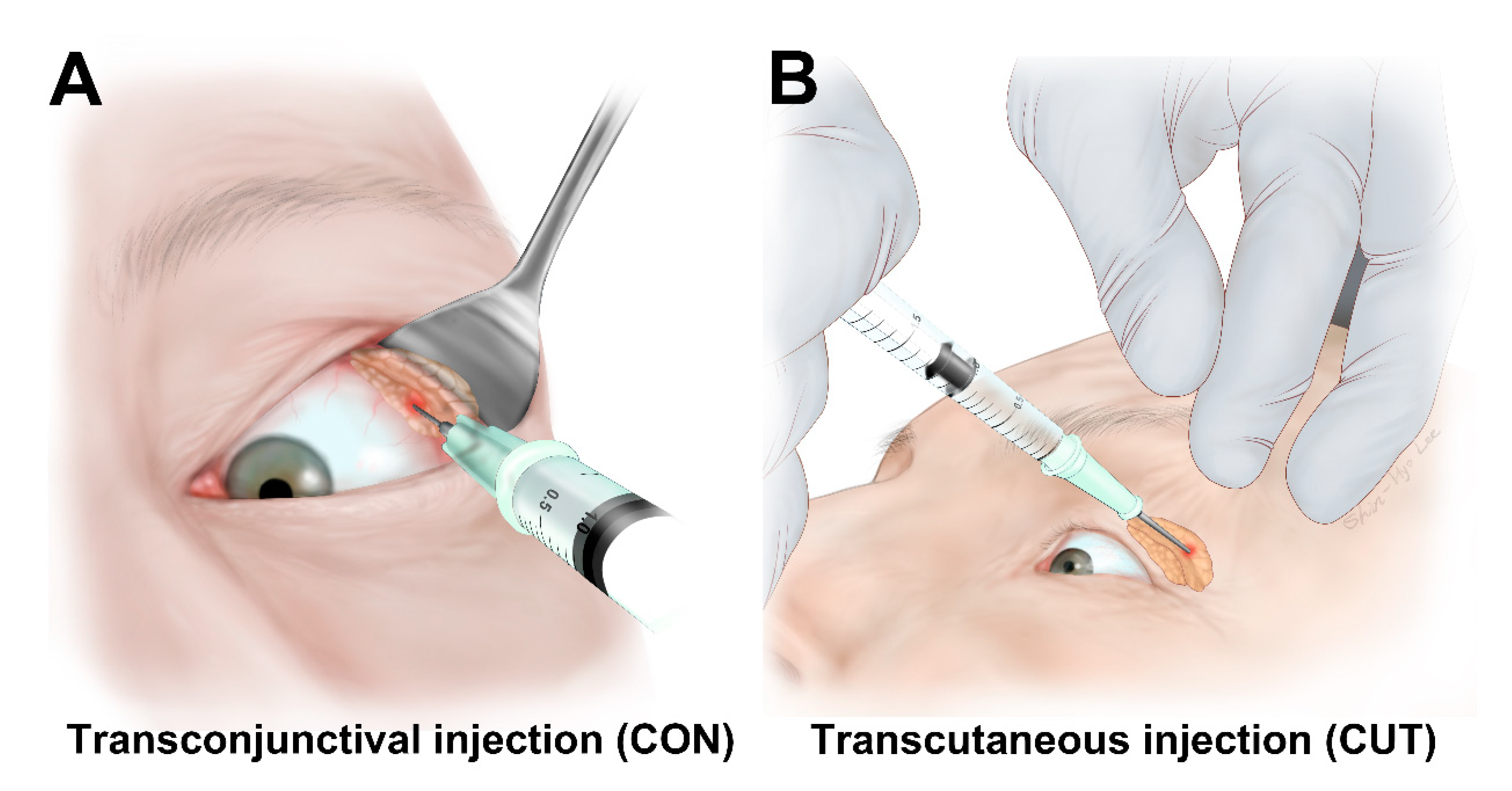 Toxins 13 00077 g005
