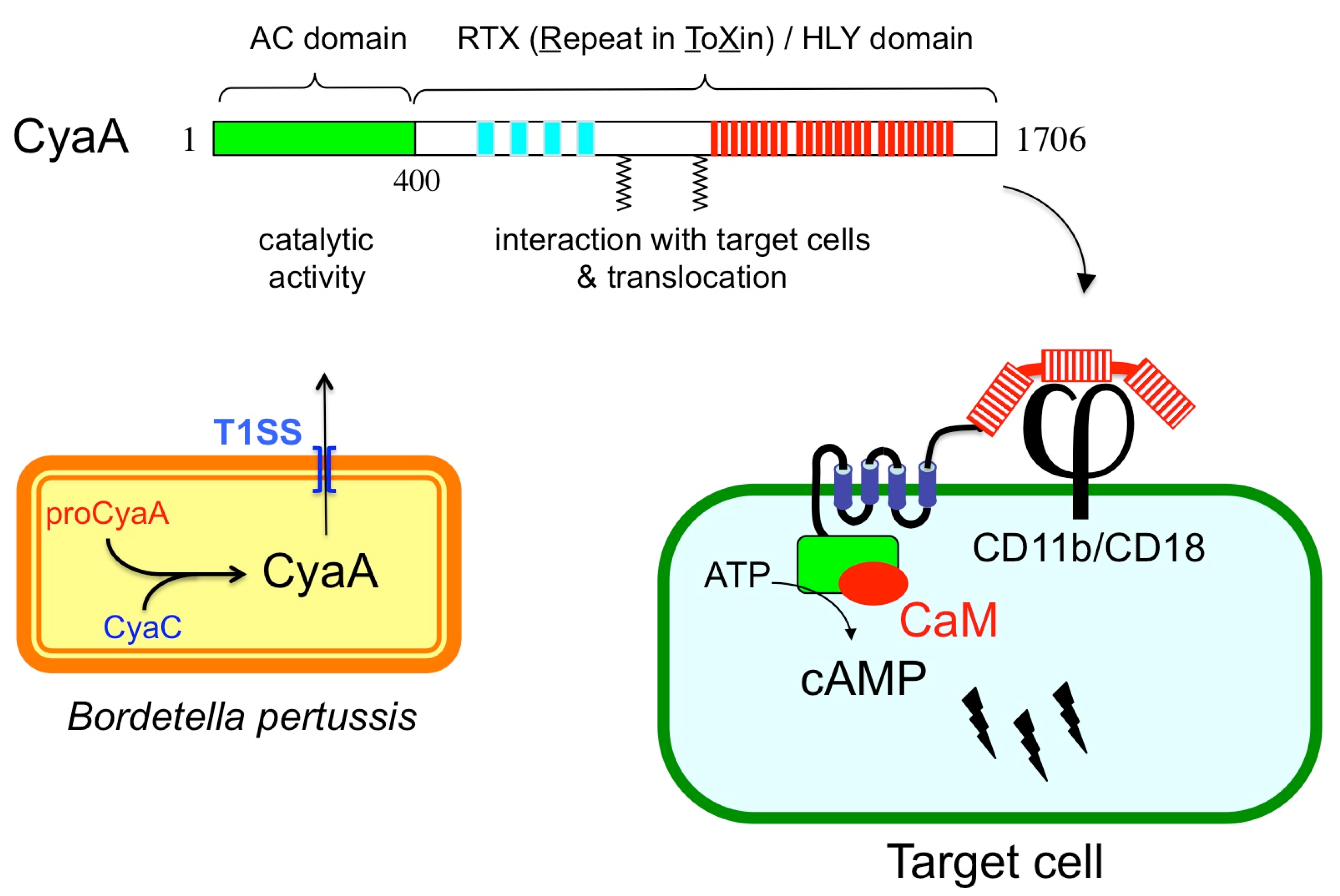 Toxins 13 00083 g001