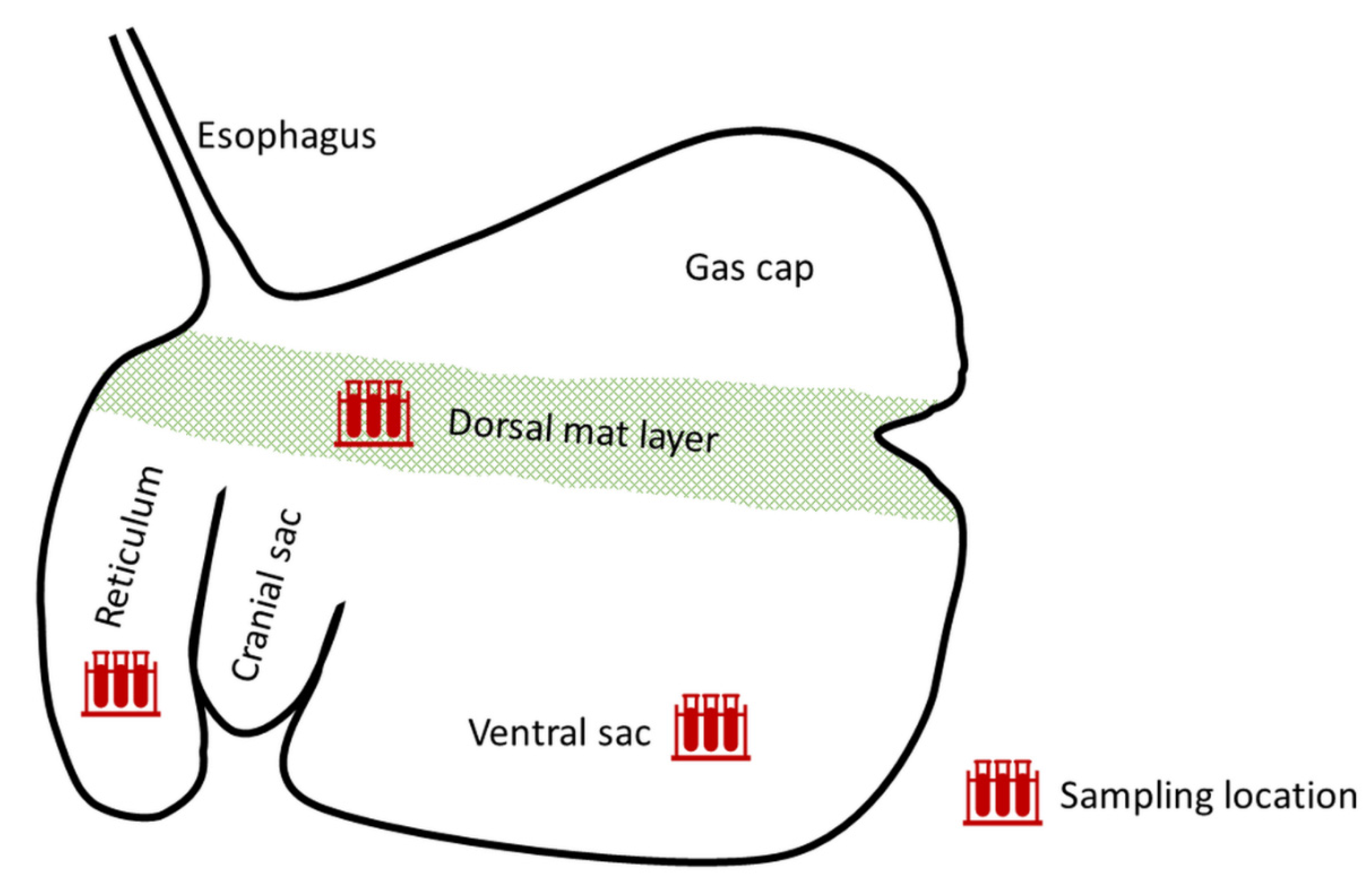 Toxins 13 00084 g003 Toxins 13 00084 g003
