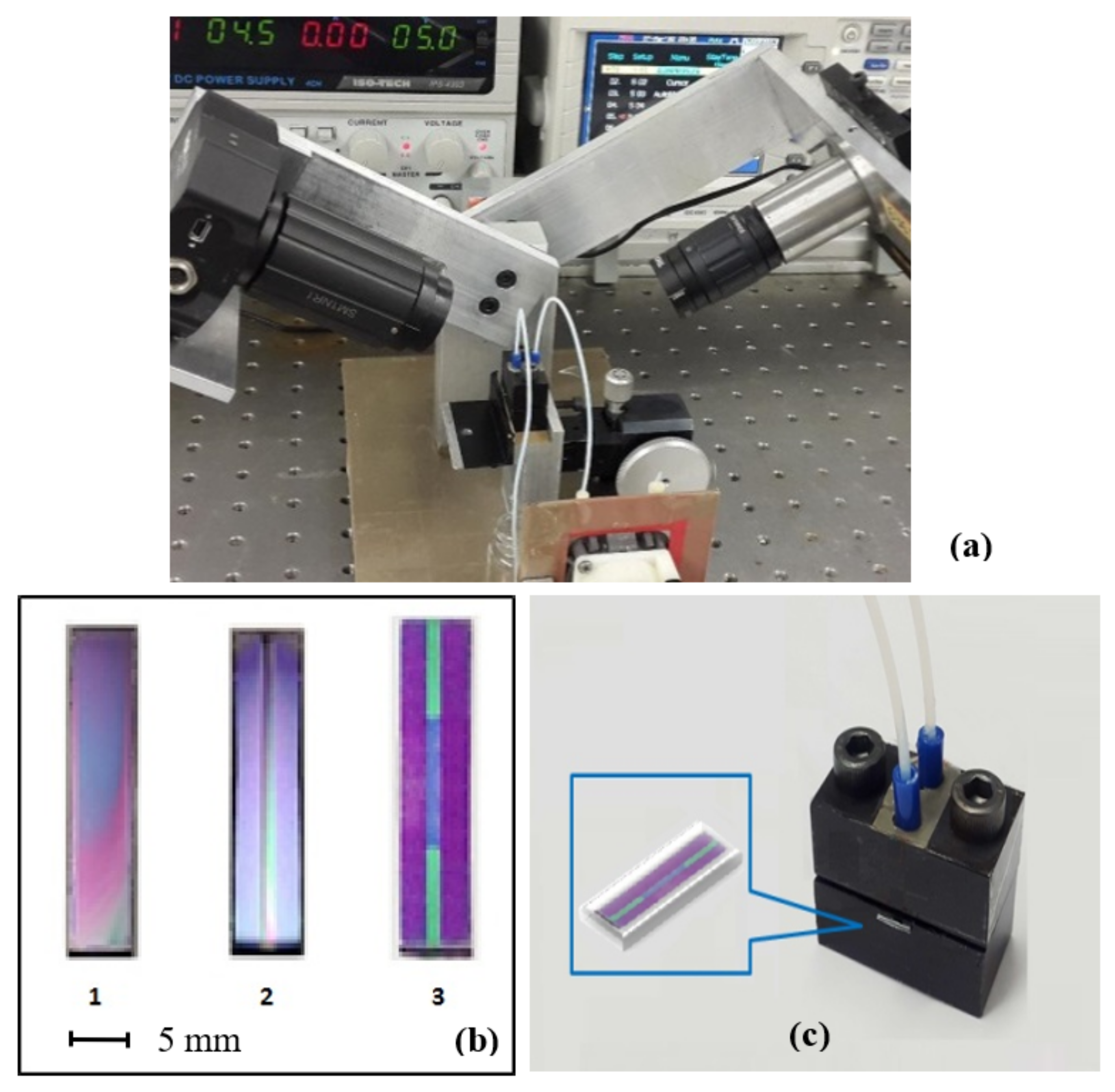 Toxins 13 00089 g003