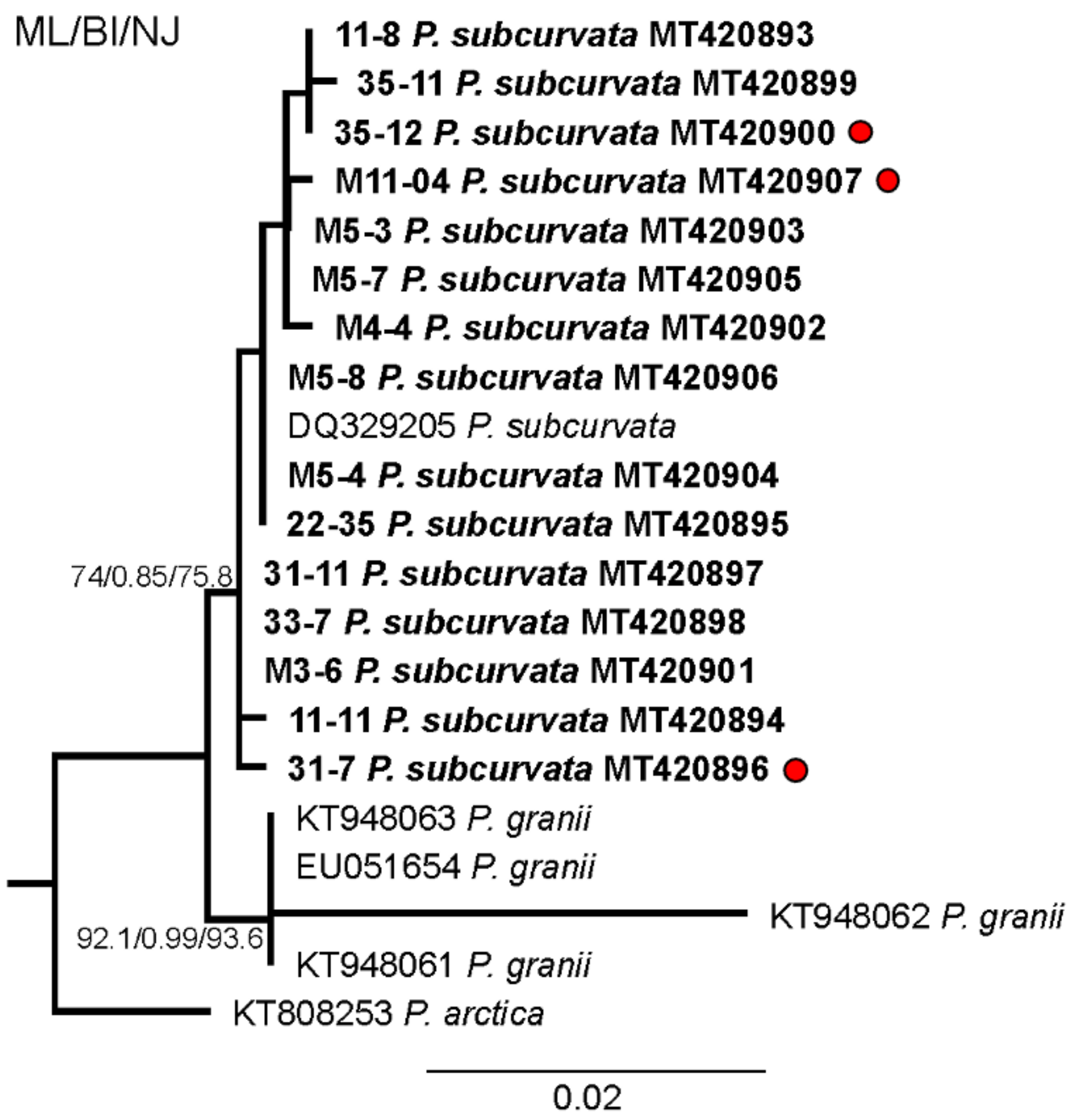 Toxins 13 00093 g001