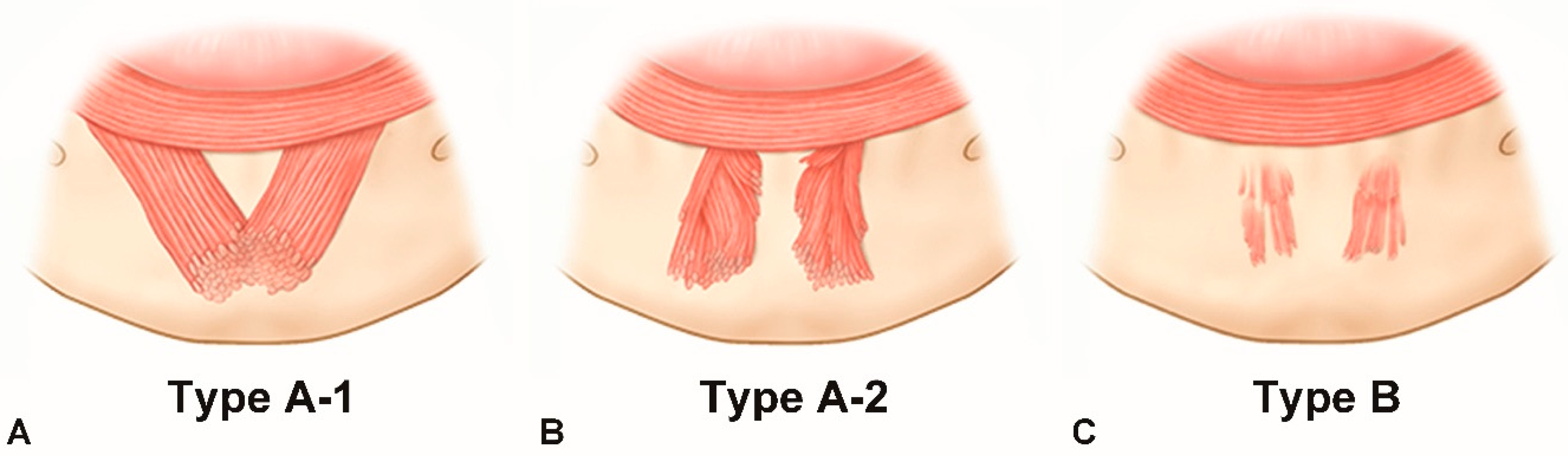 Toxins 13 00096 g005