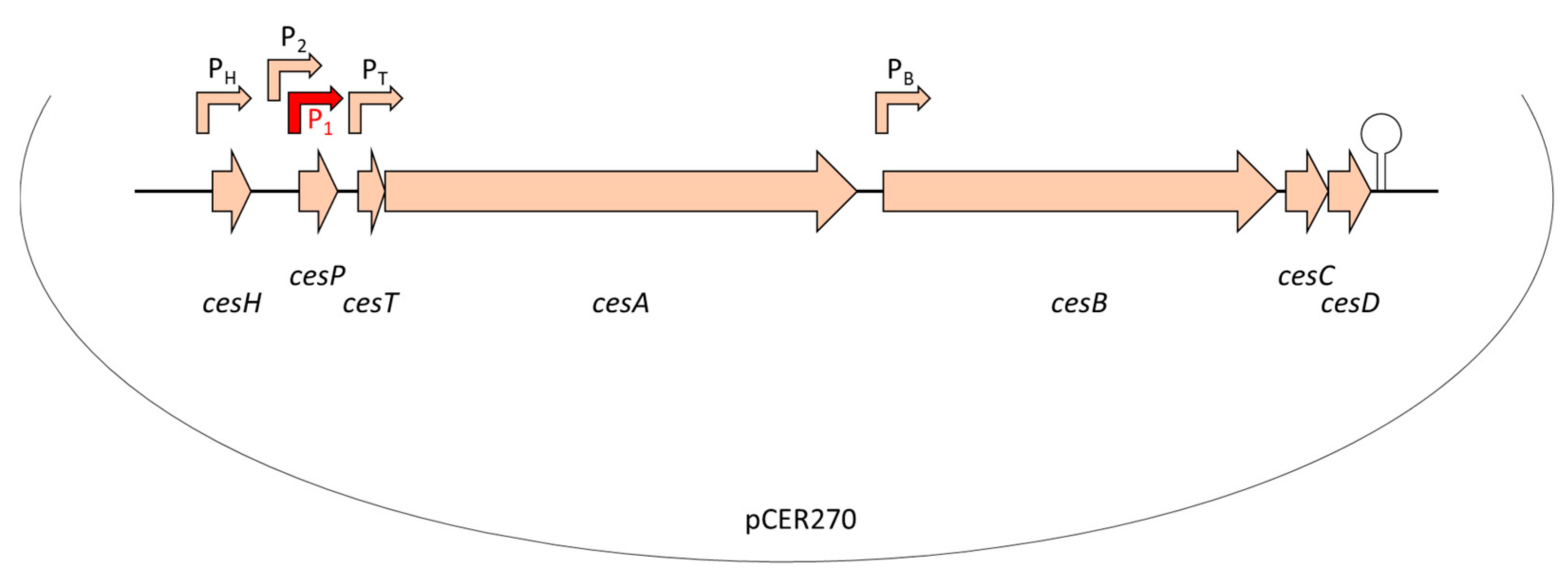 Toxins 13 00098 g002