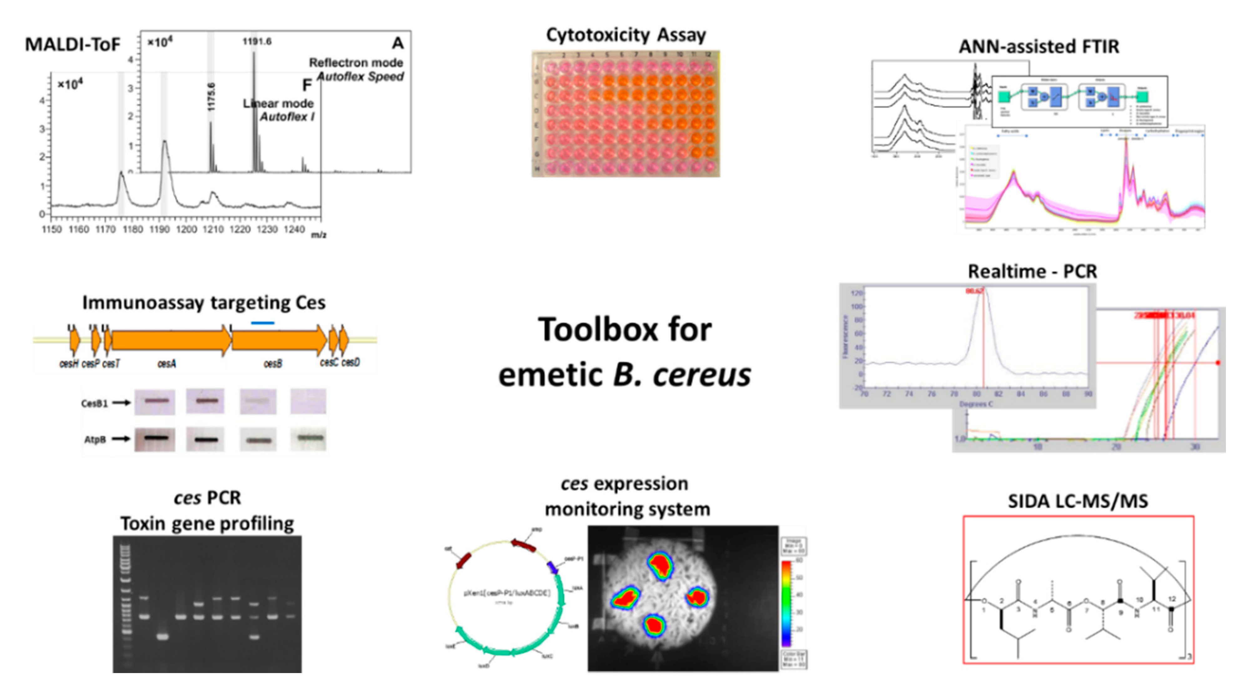 Toxins 13 00098 g003