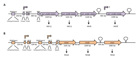 Toxins 13 00098 g004