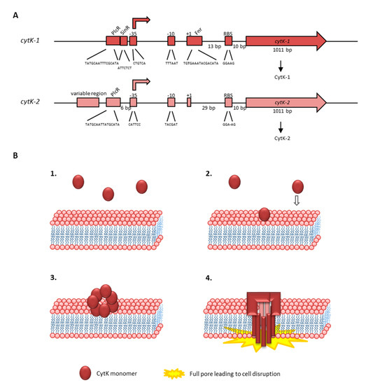 Toxins 13 00098 g006