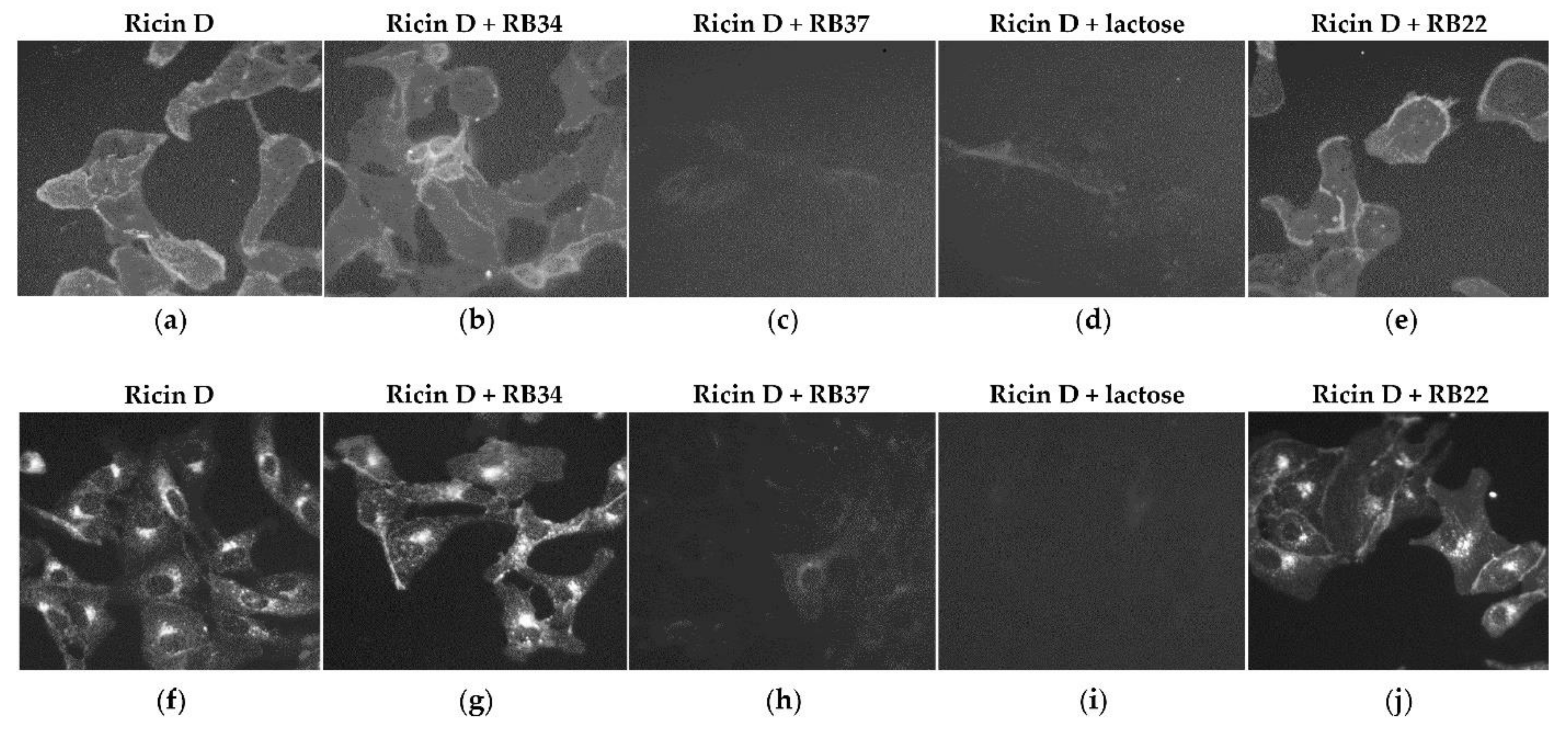 Toxins 13 00100 g003