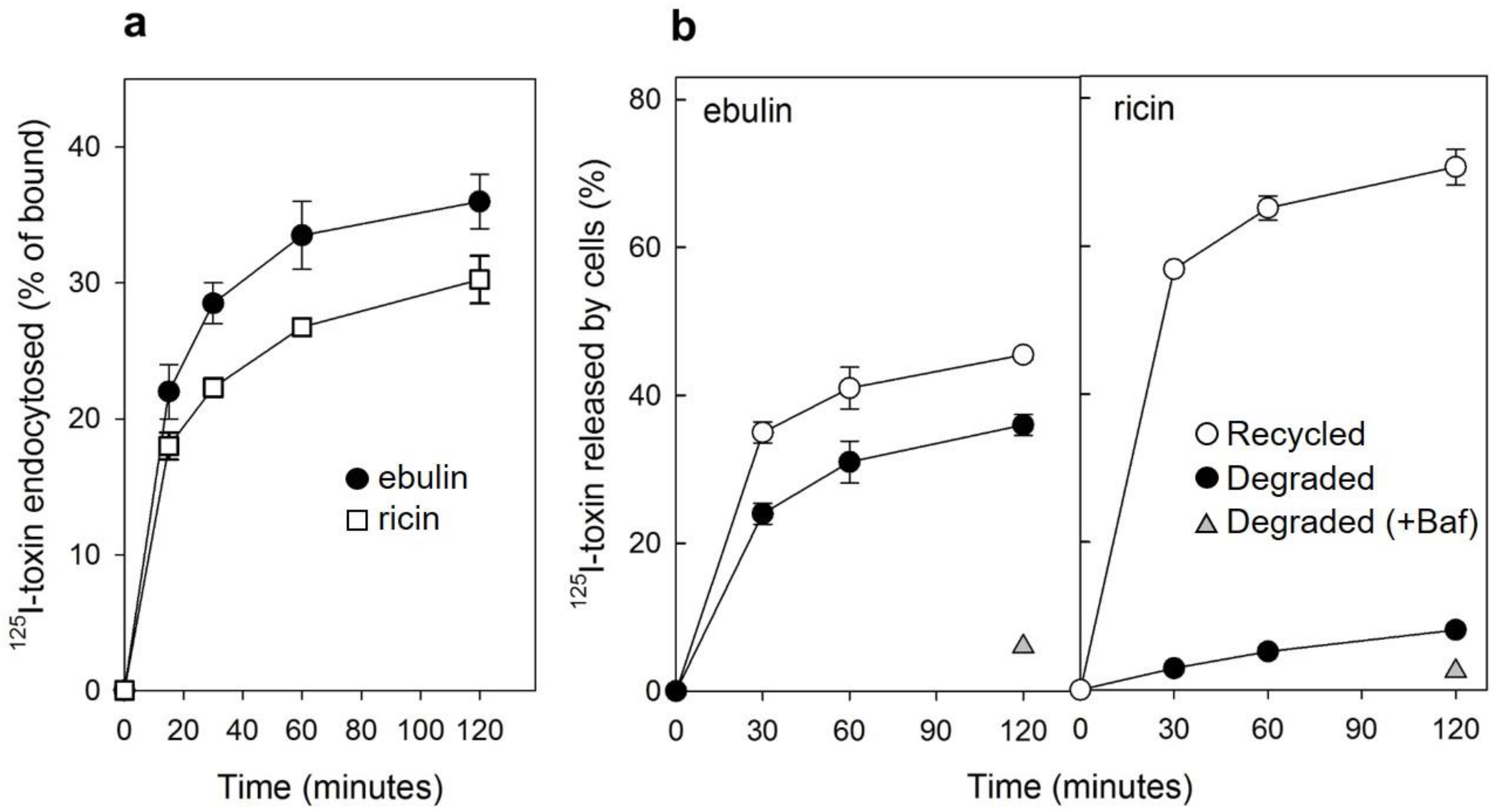 Toxins 13 00102 g002
