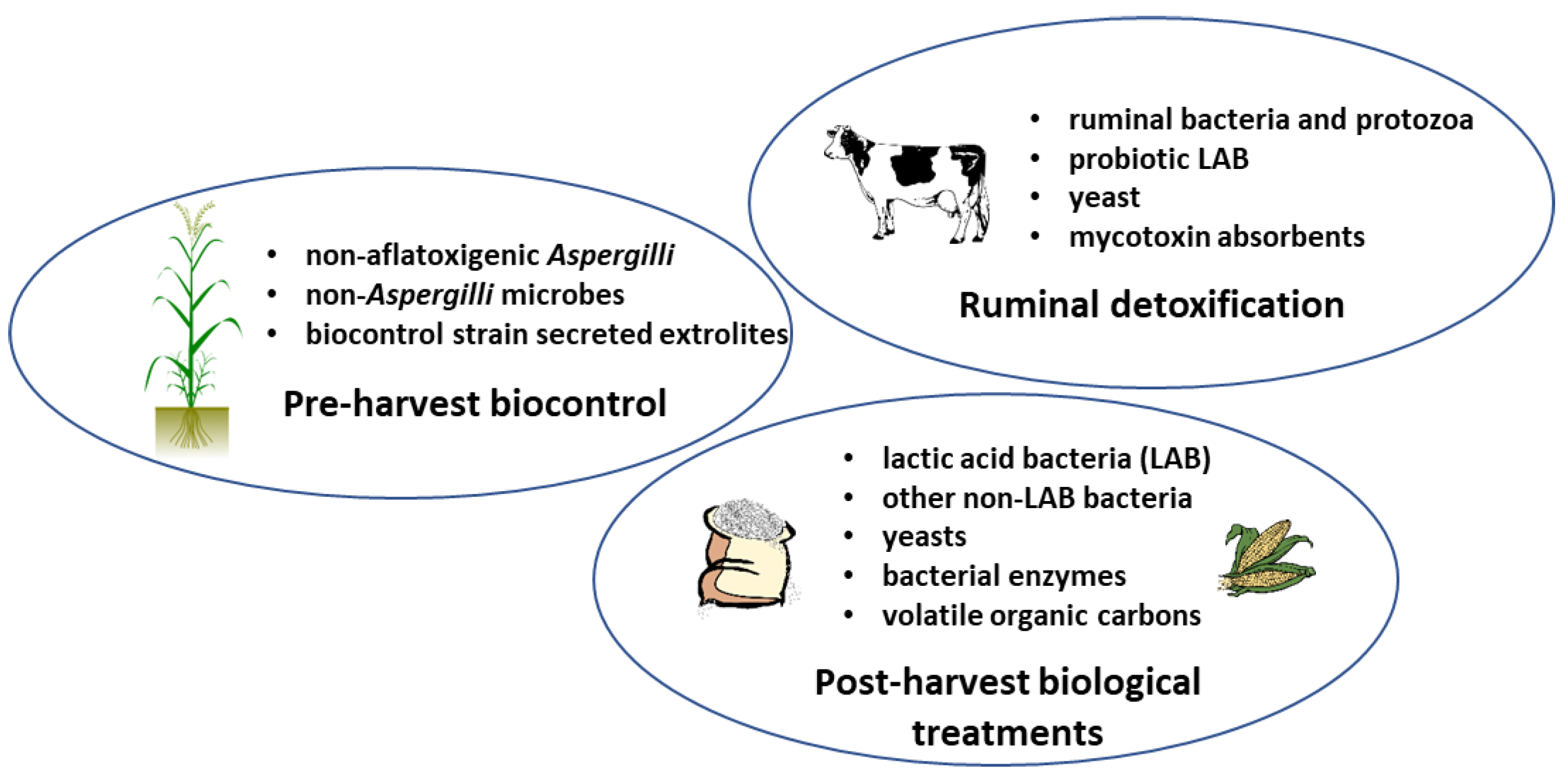 Toxins 13 00104 g001