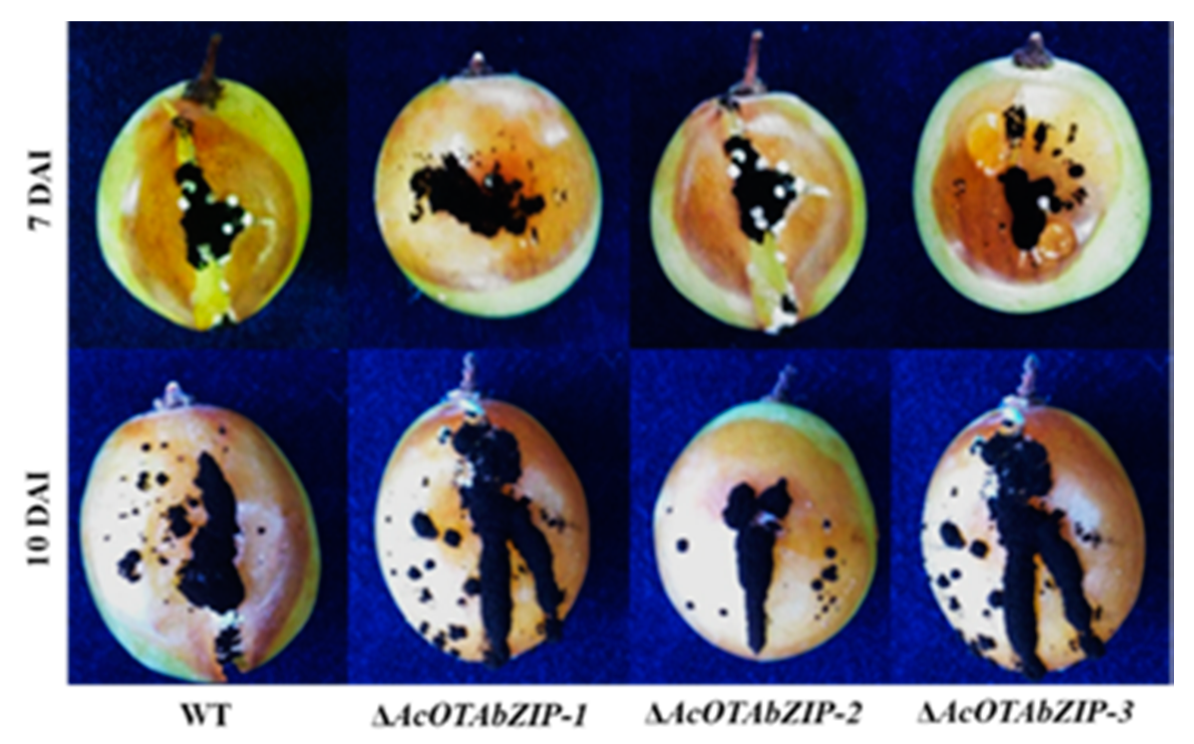 Toxins 13 00111 g003