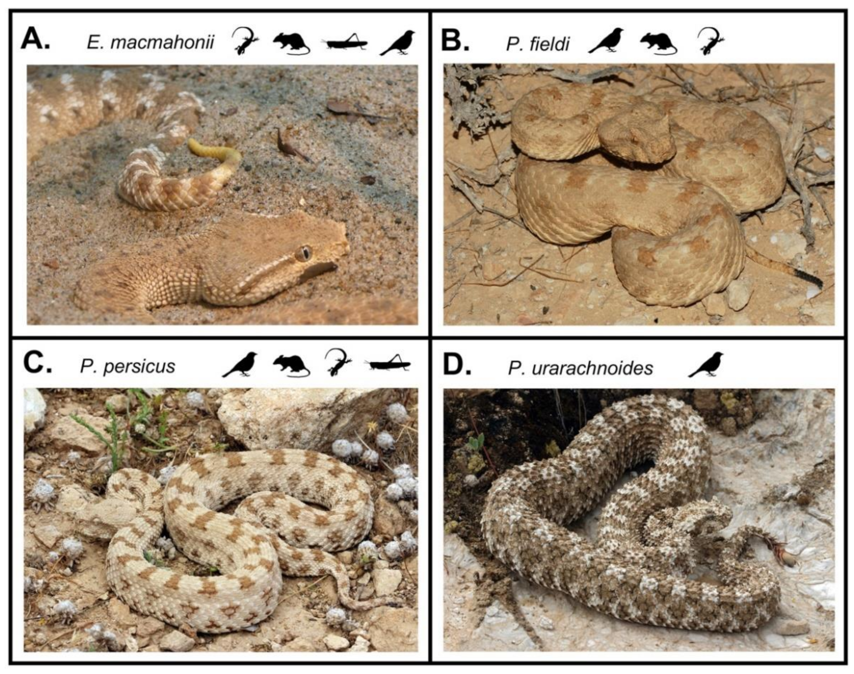 Toxins 13 00112 g001 Toxins 13 00112 g001