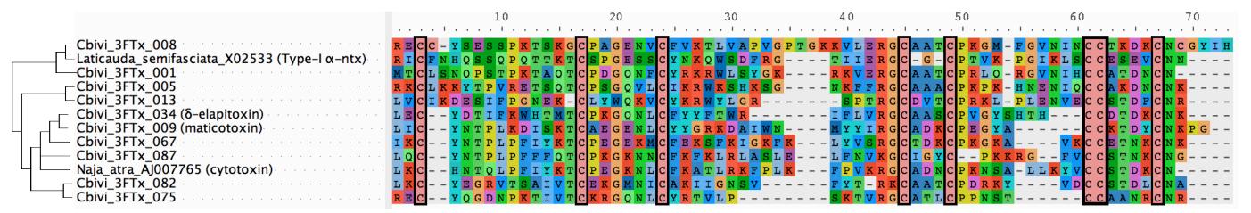 Toxins 13 00124 g004