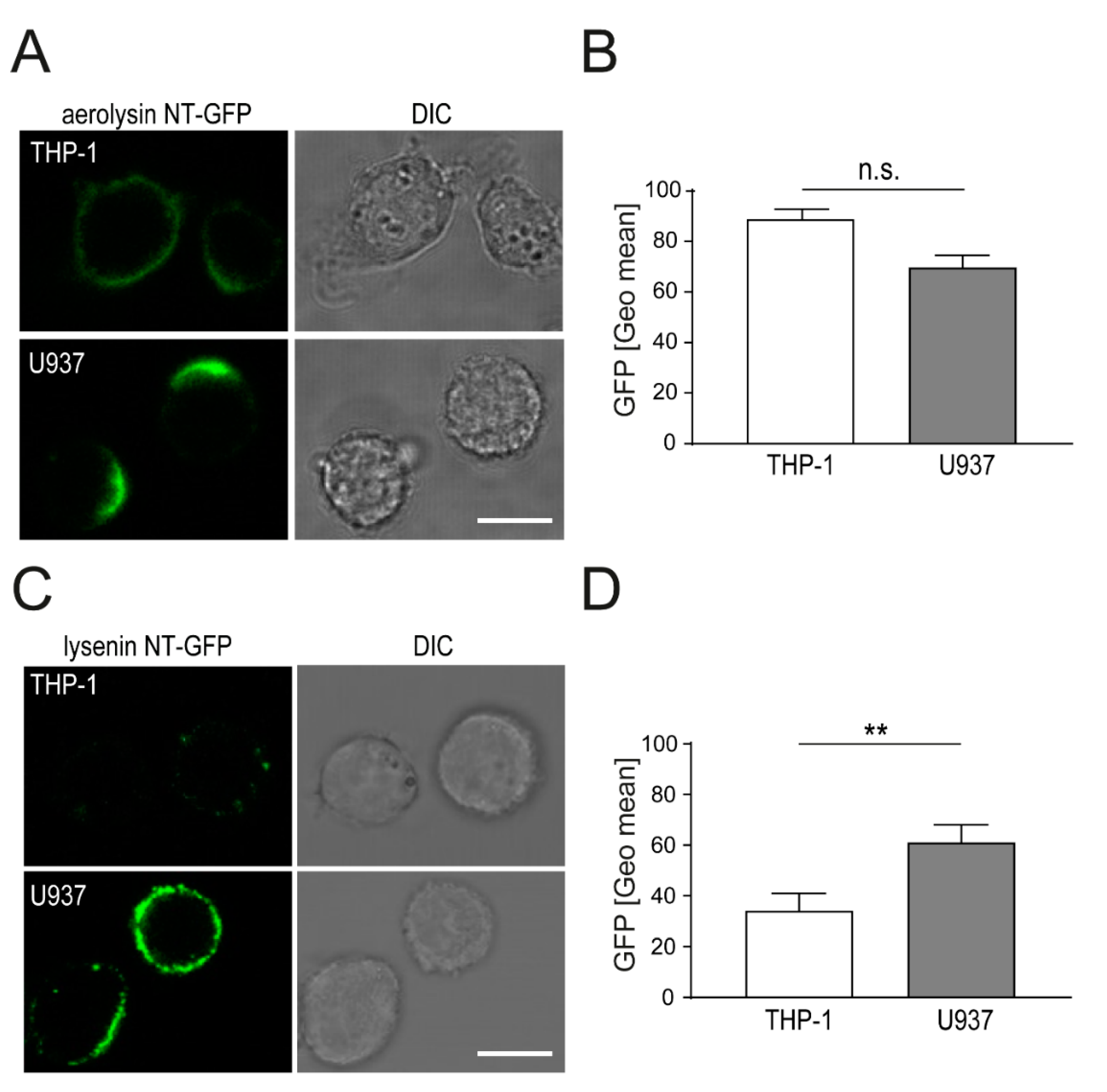 Toxins 13 00126 g001