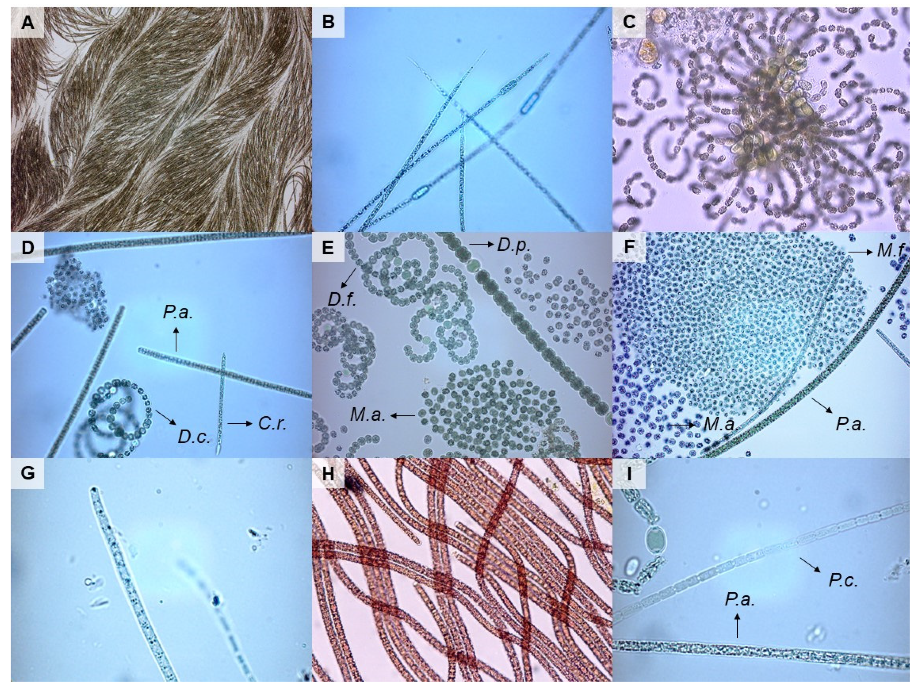 Toxins 13 00133 g002