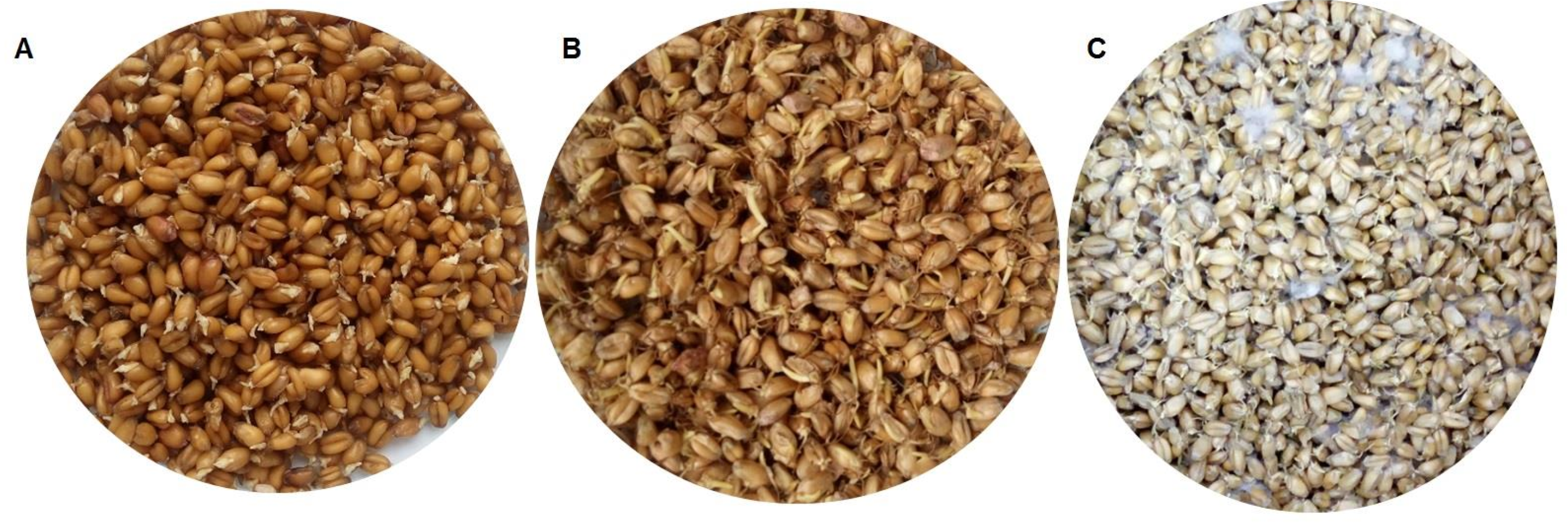 Toxins 13 00135 g002