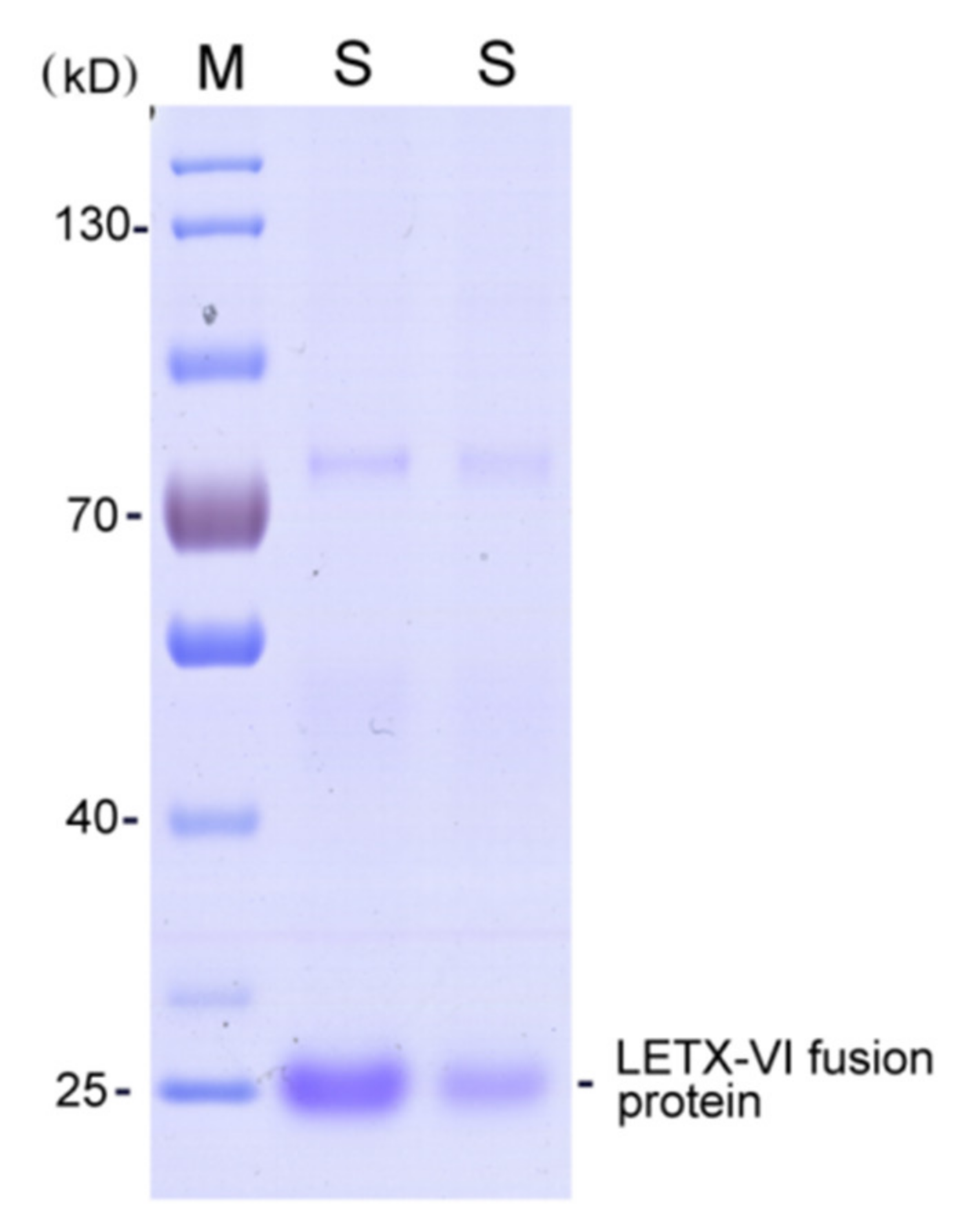 Toxins 13 00136 g001