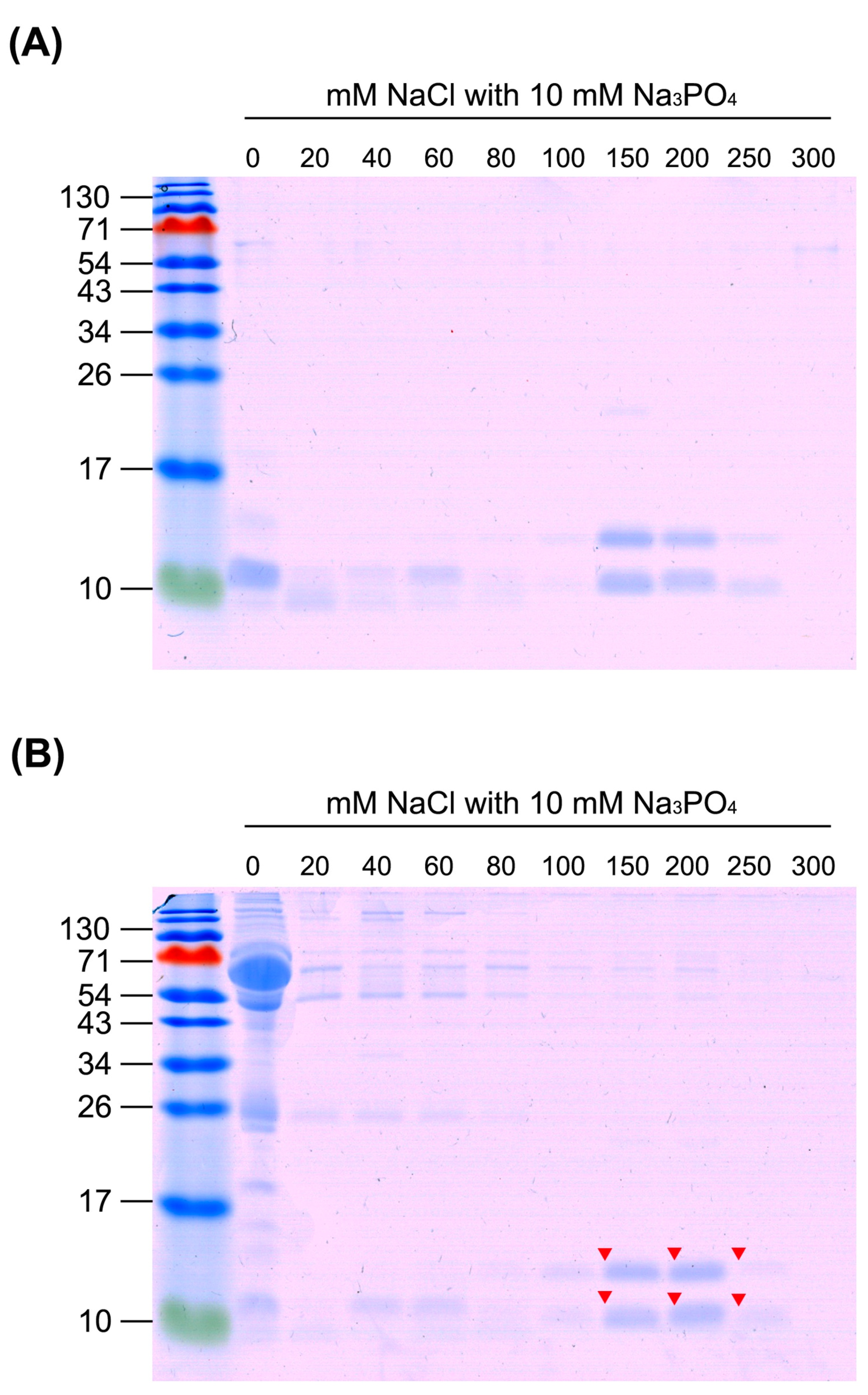 Toxins 13 00140 g004