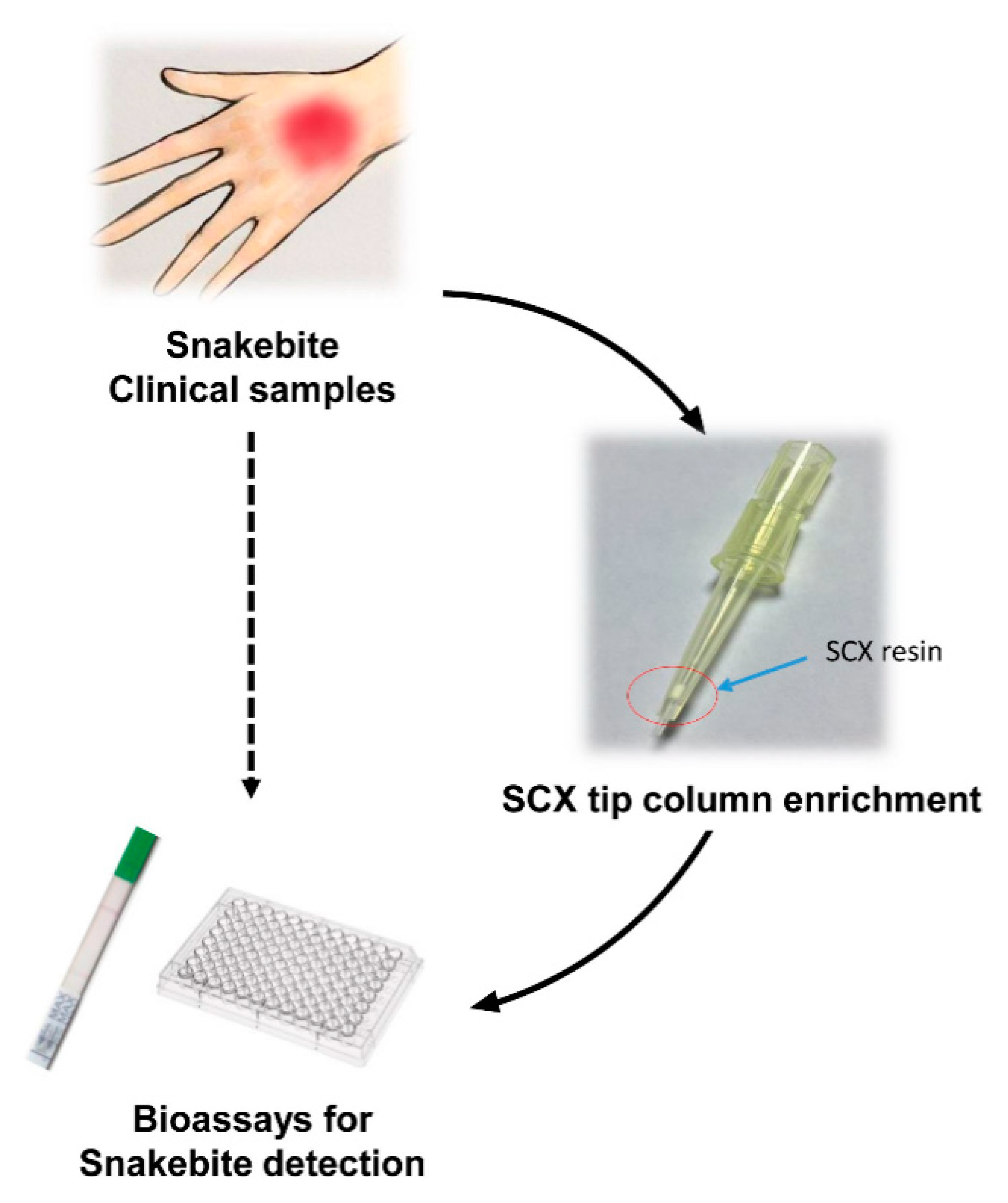 Toxins 13 00140 g006