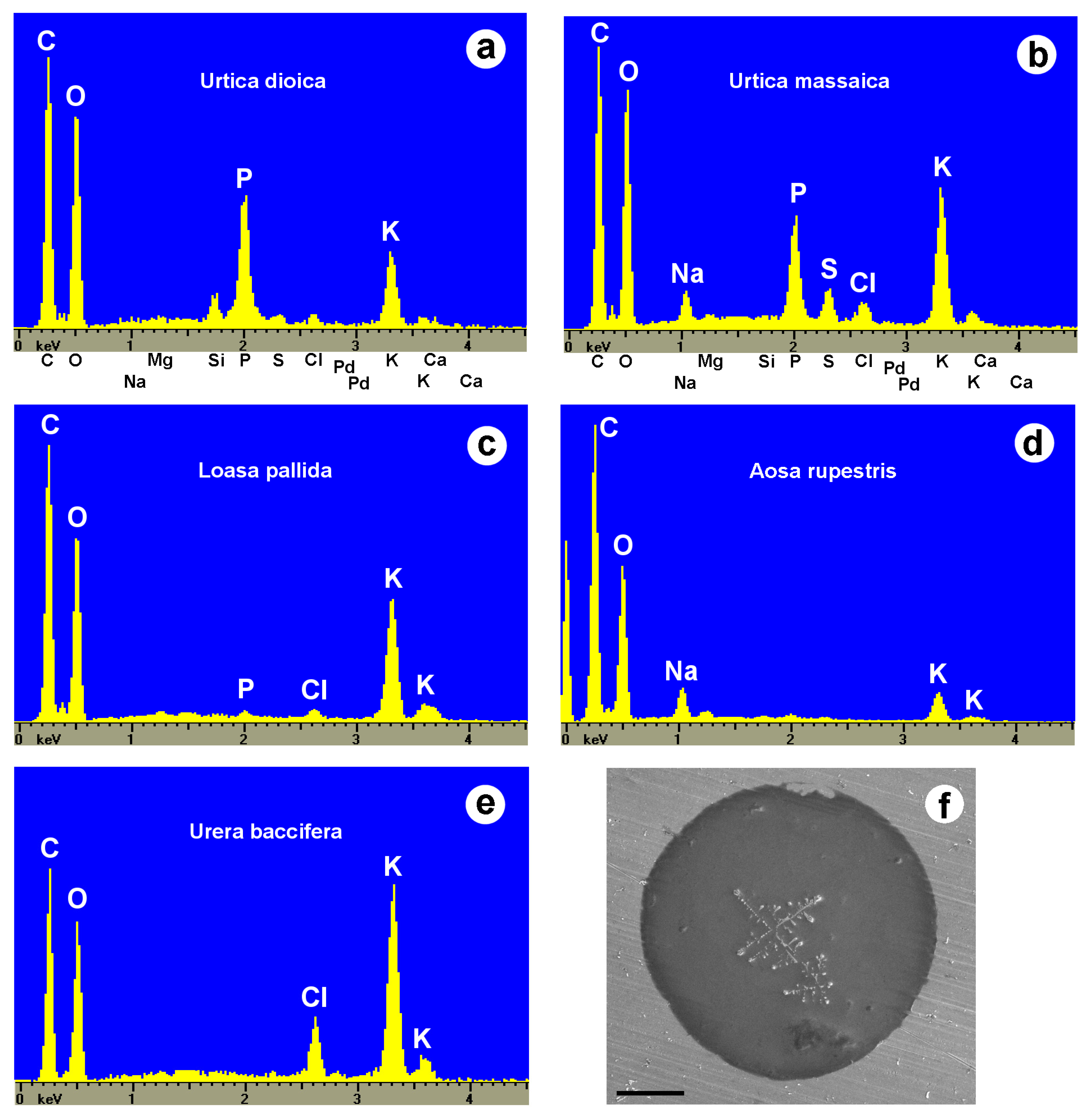 Toxins 13 00141 g010