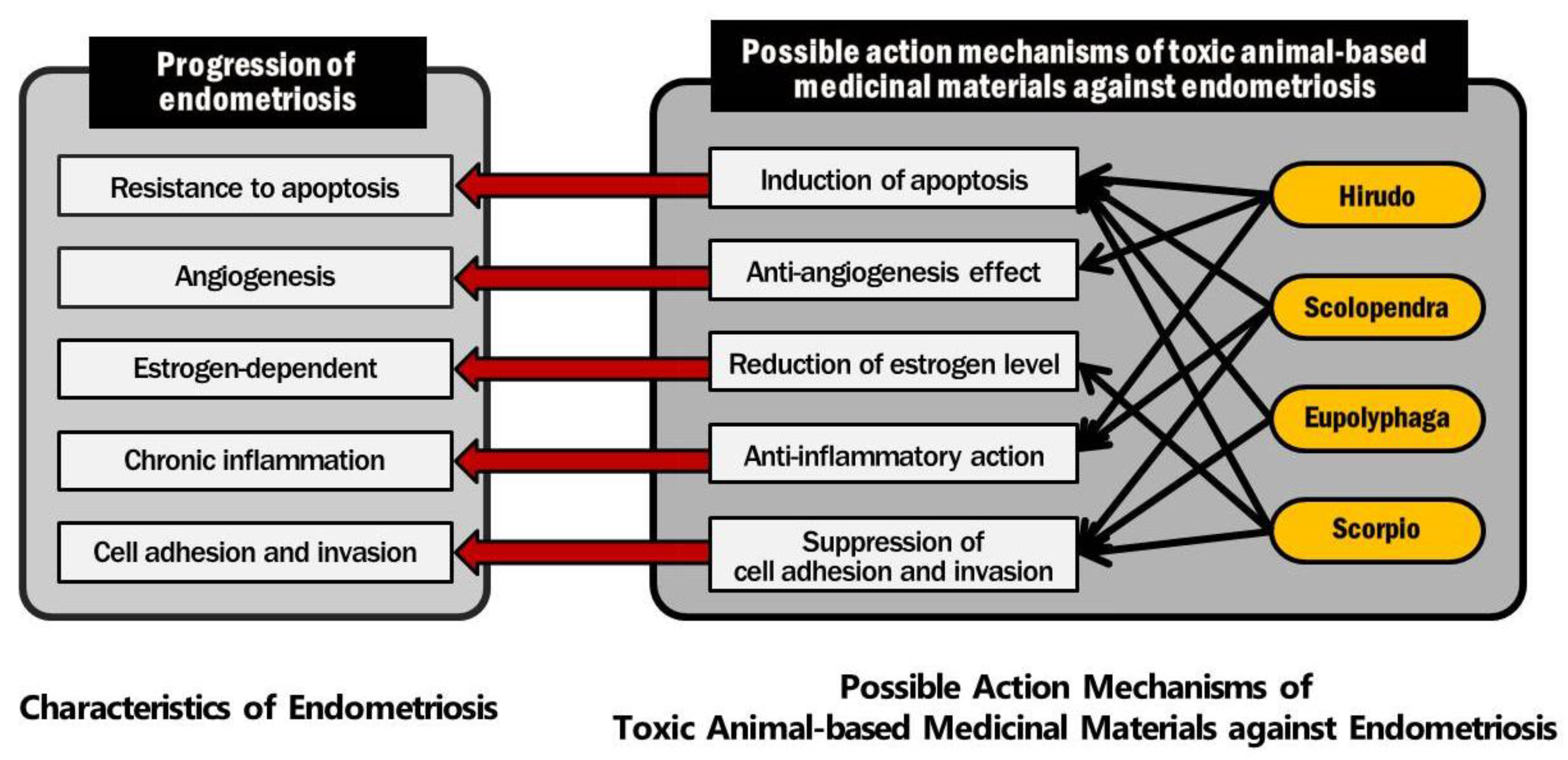 Toxins 13 00145 g003