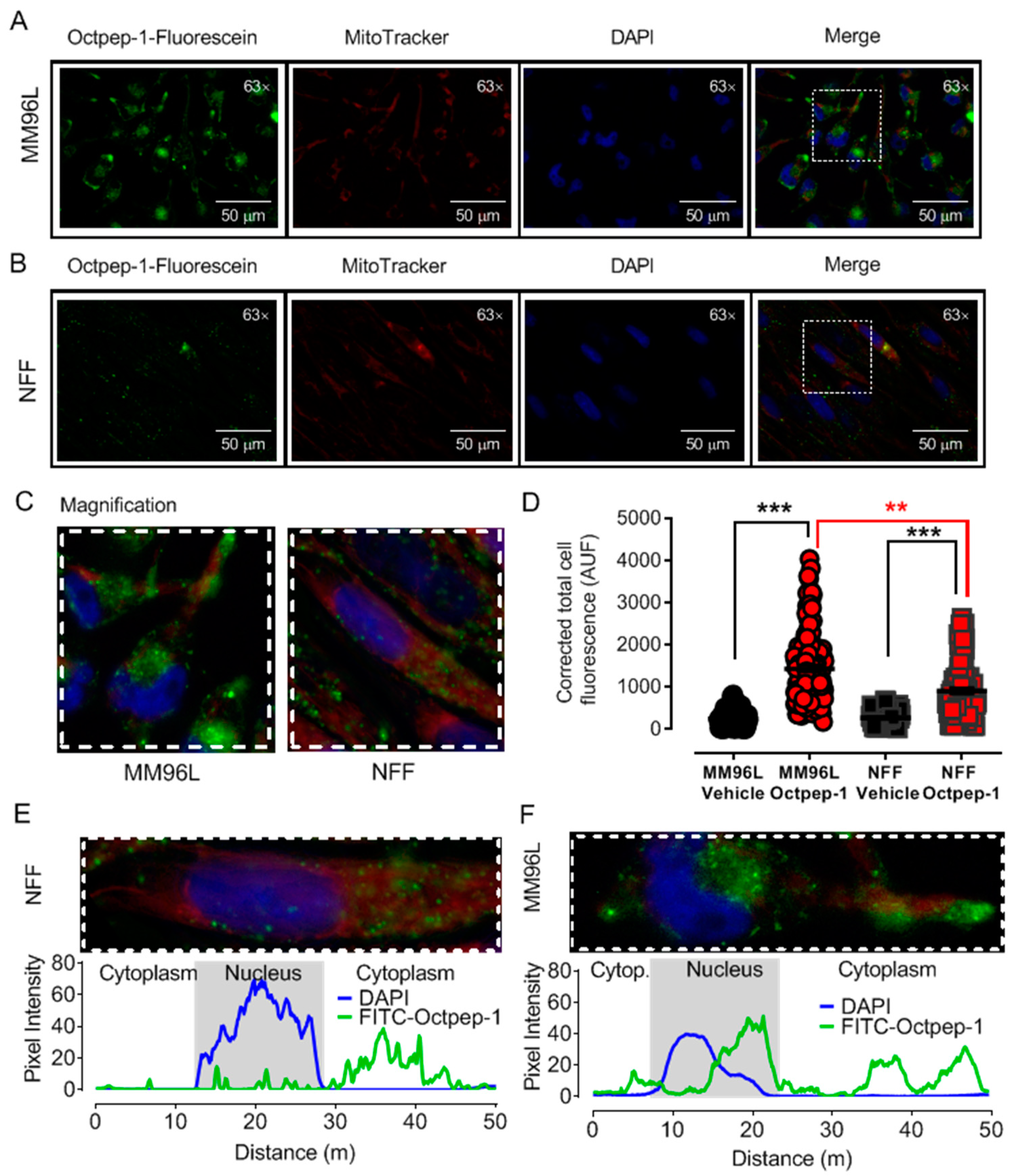 Toxins 13 00146 g001 Toxins 13 00146 g001