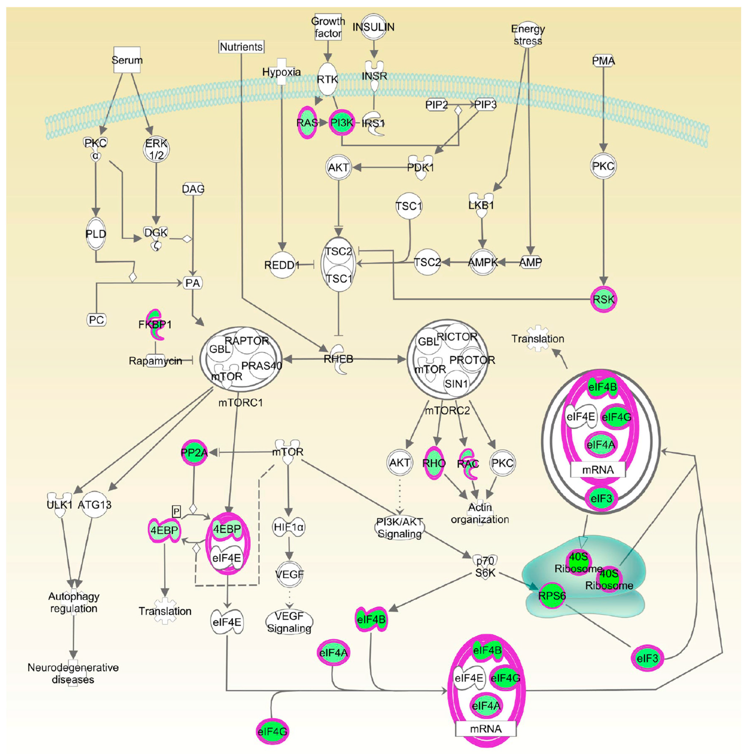 Toxins 13 00146 g003 Toxins 13 00146 g003