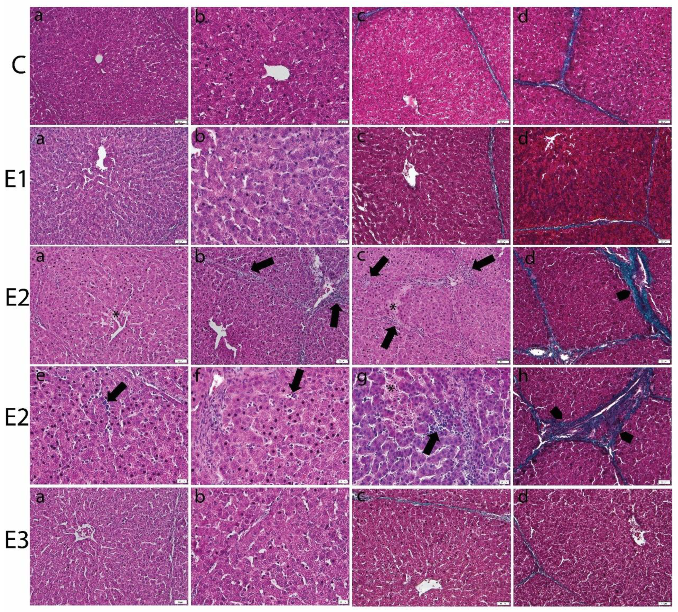 Toxins 13 00148 g001