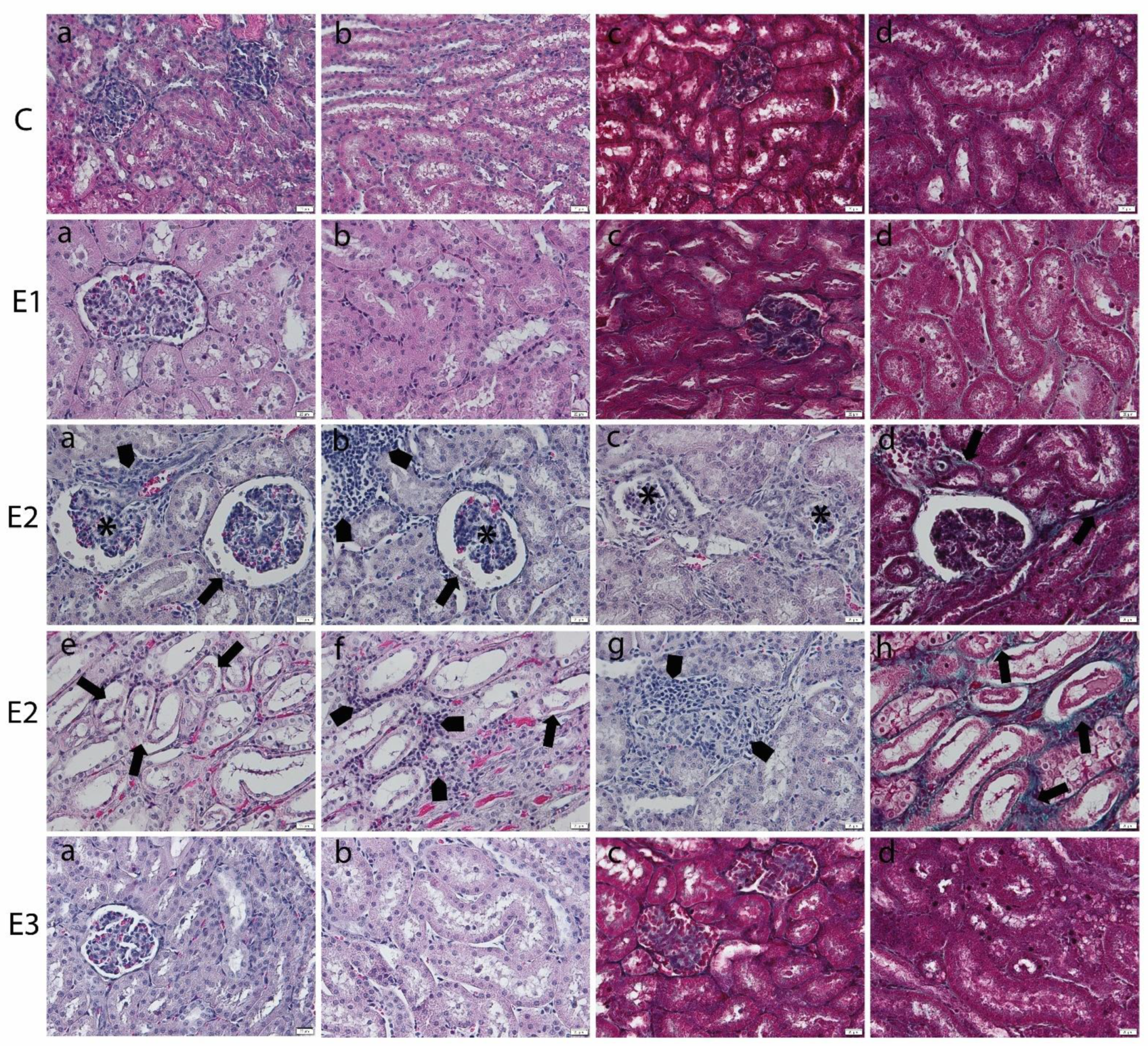 Toxins 13 00148 g002