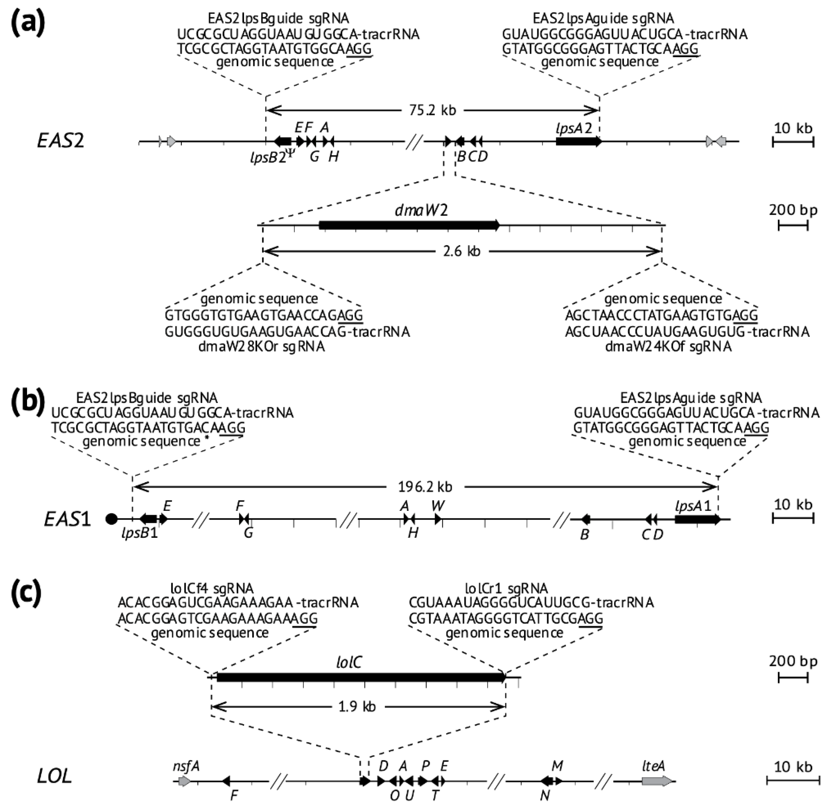 Toxins 13 00153 g001