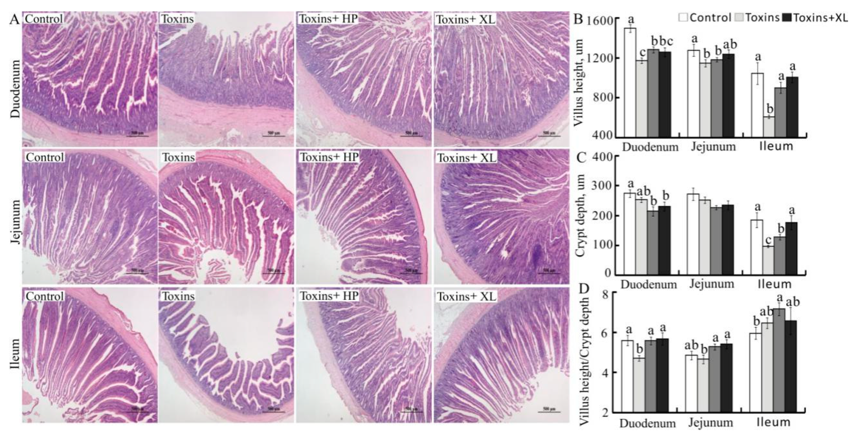Toxins 13 00156 g001