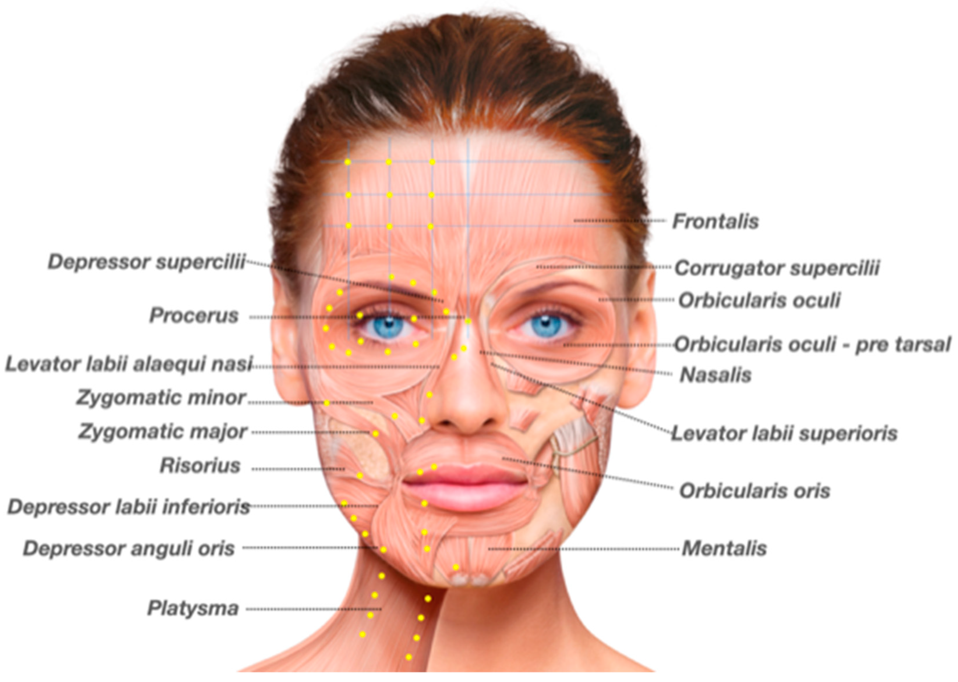 Toxins 13 00159 g004 Toxins 13 00159 g004