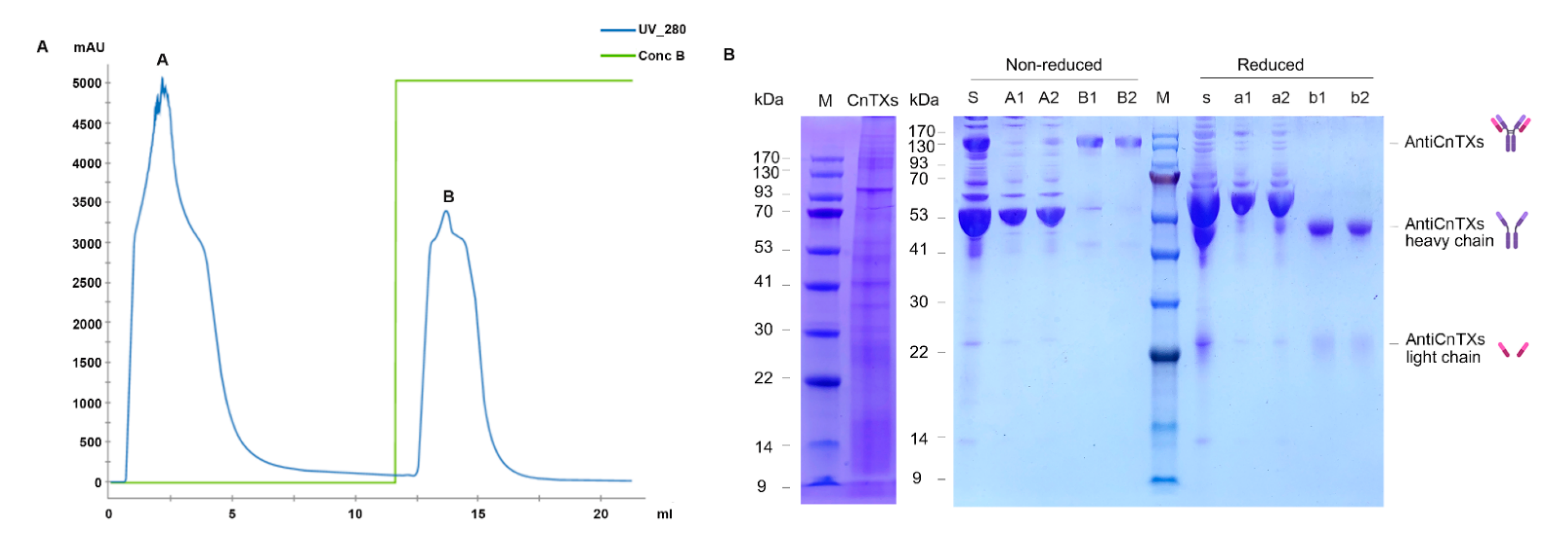 Toxins 13 00165 g001