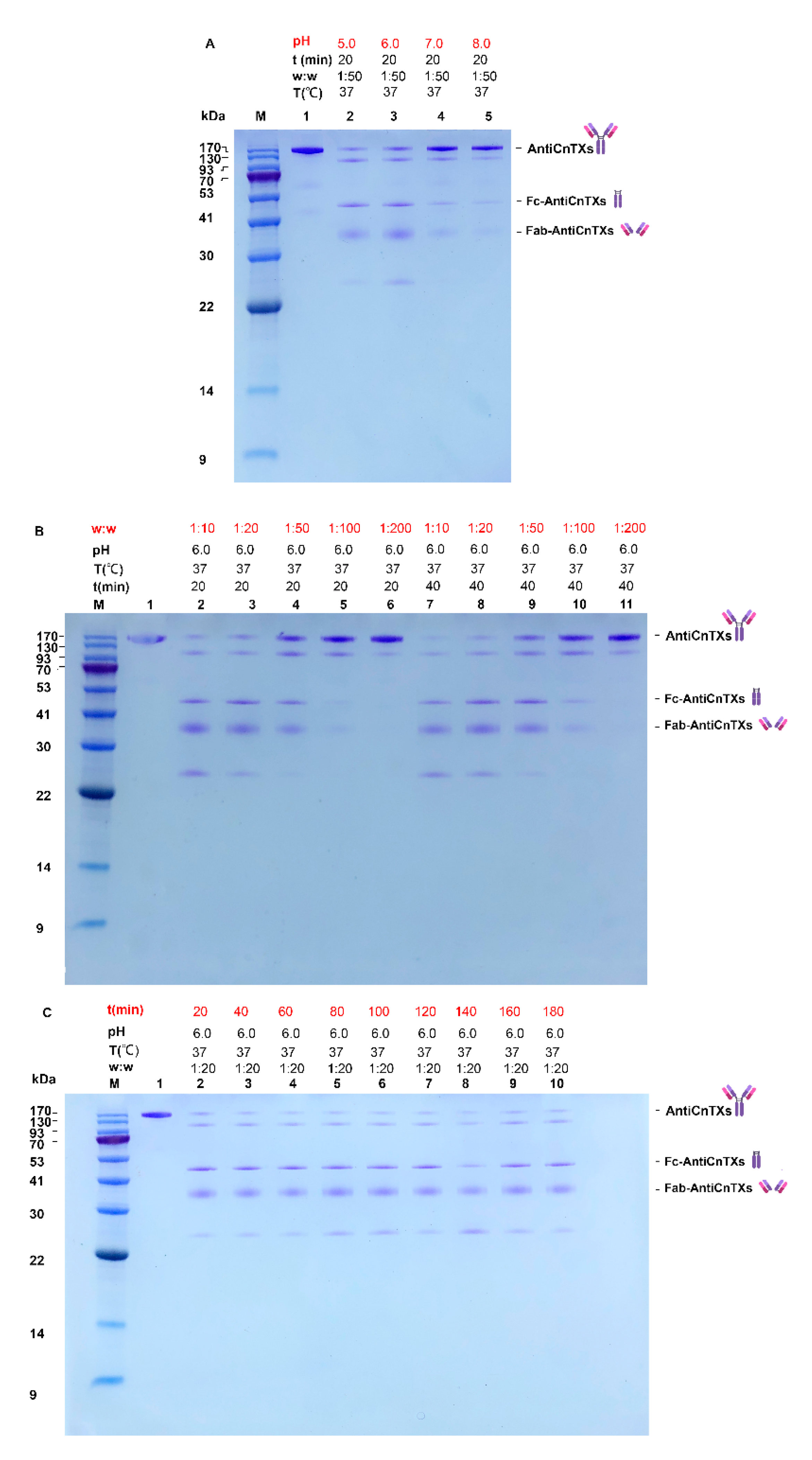 Toxins 13 00165 g004