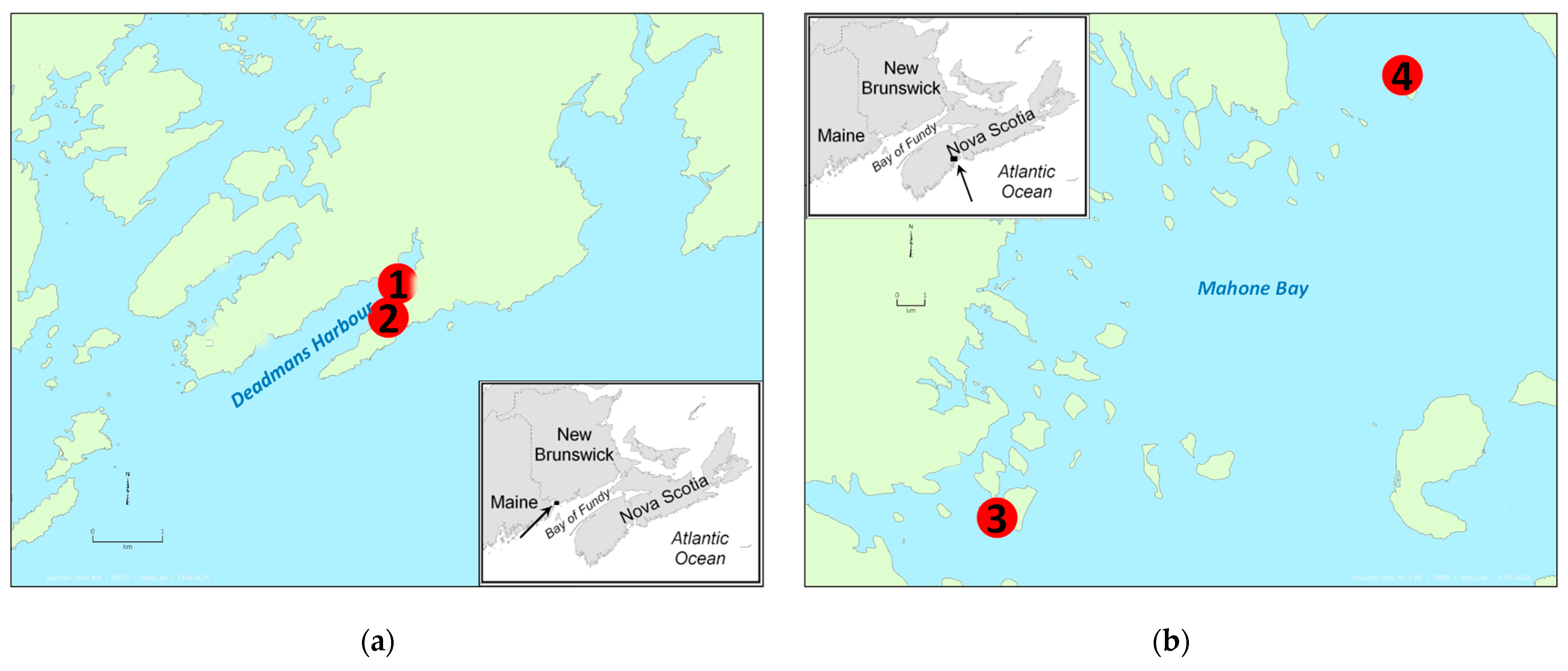Toxins 13 00168 g001