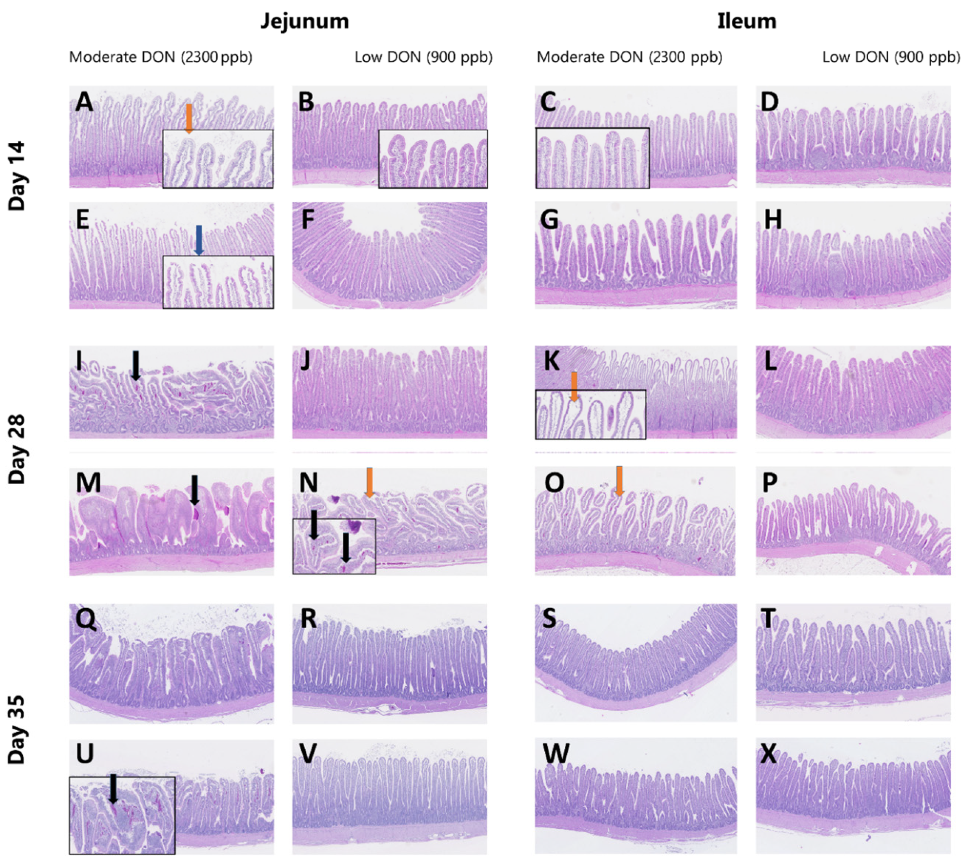 Toxins 13 00170 g001