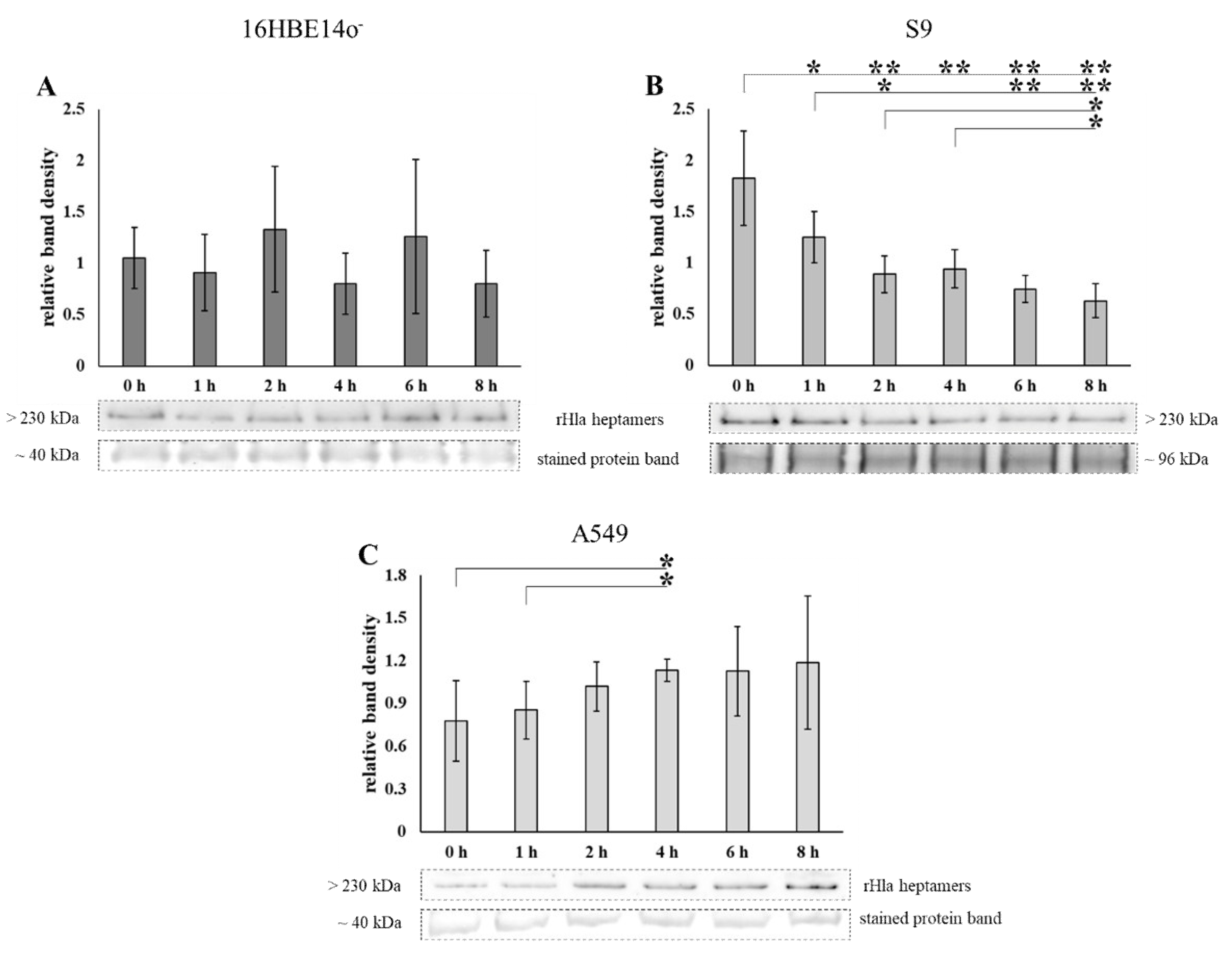 Toxins 13 00173 g001