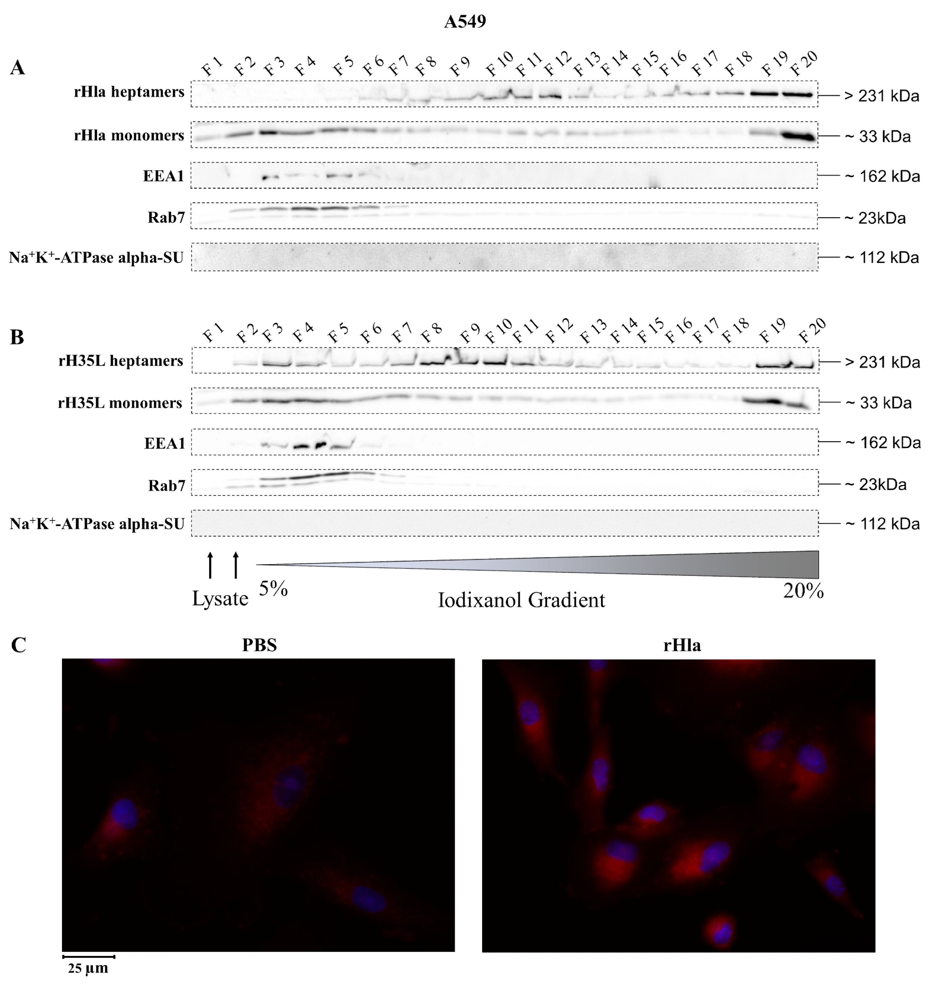 Toxins 13 00173 g004