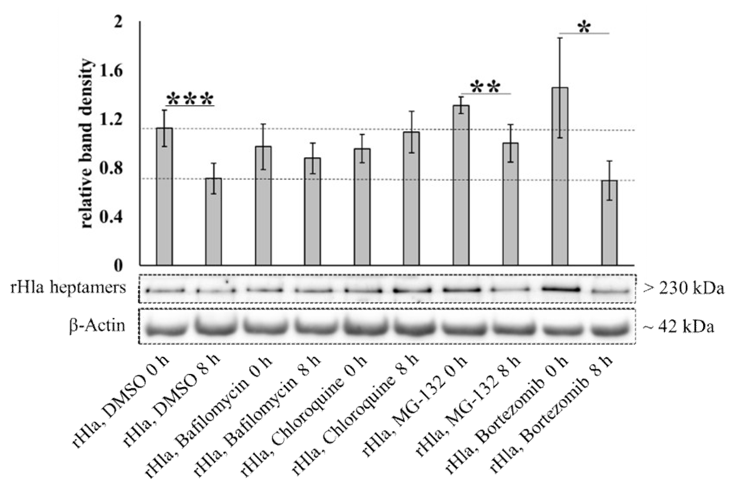 Toxins 13 00173 g006