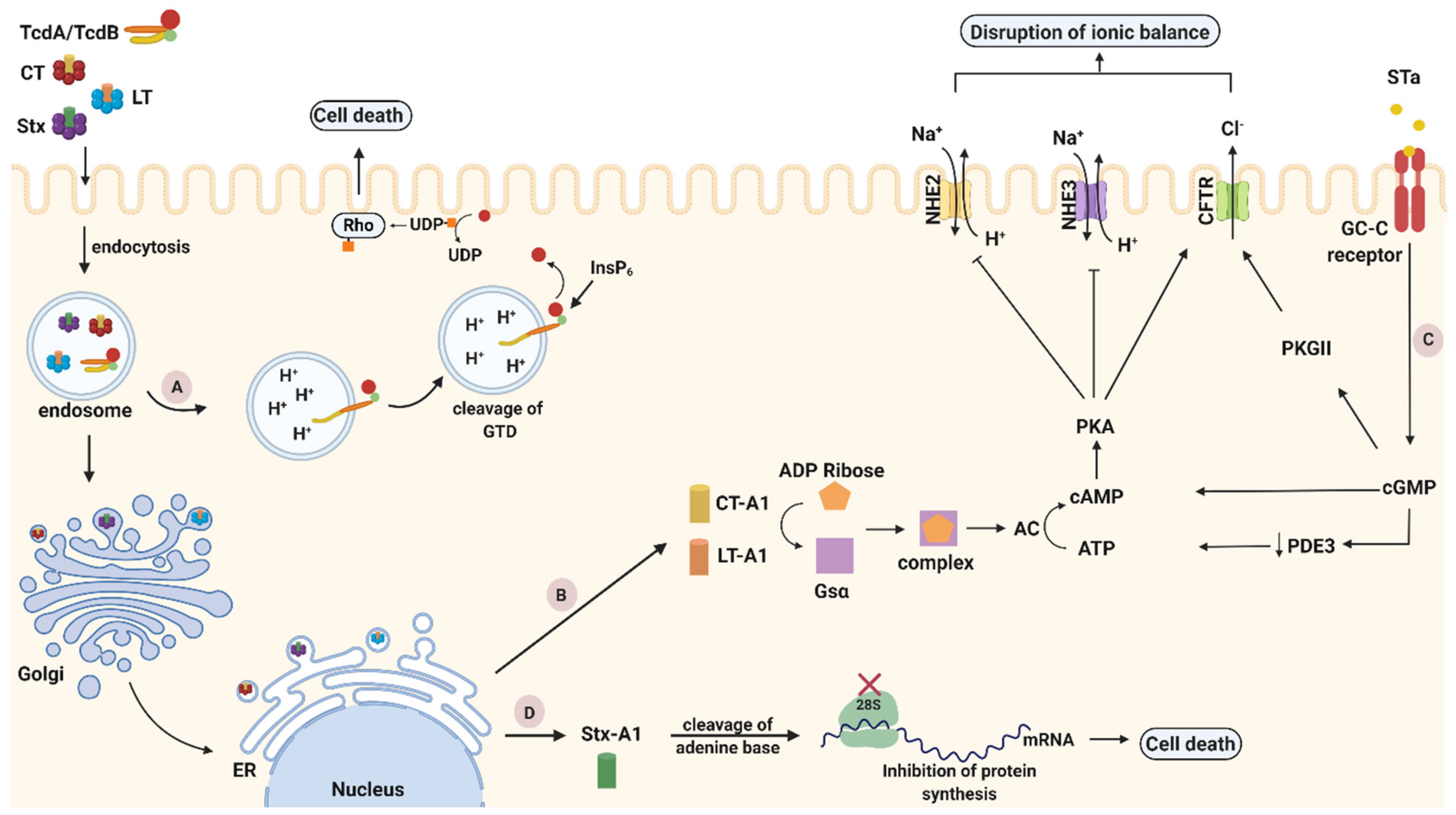 Toxins 13 00175 g002 Toxins 13 00175 g002
