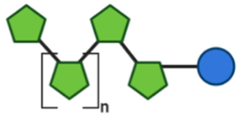 Toxins 13 00175 i003 Toxins 13 00175 i003