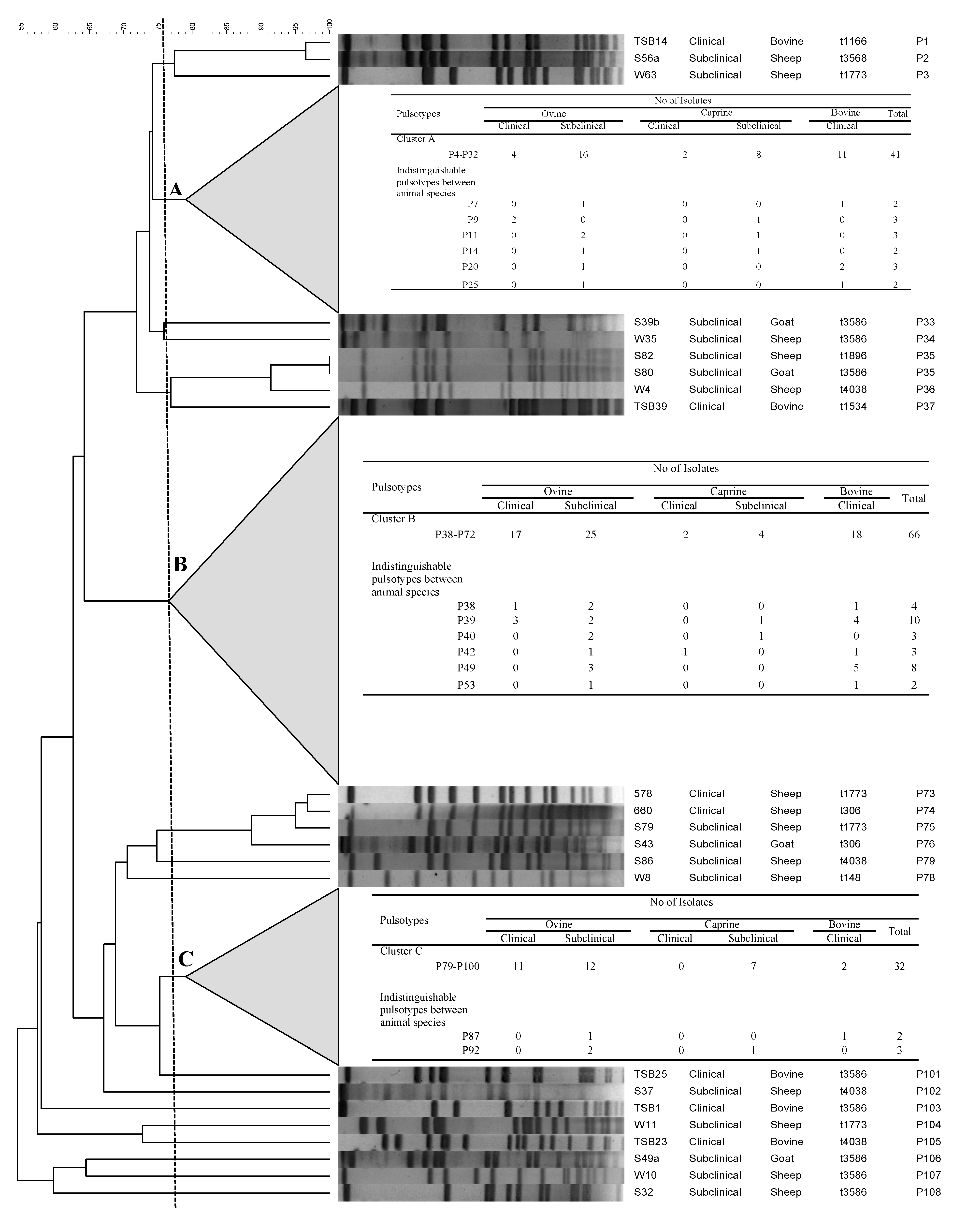 Toxins 13 00176 g001