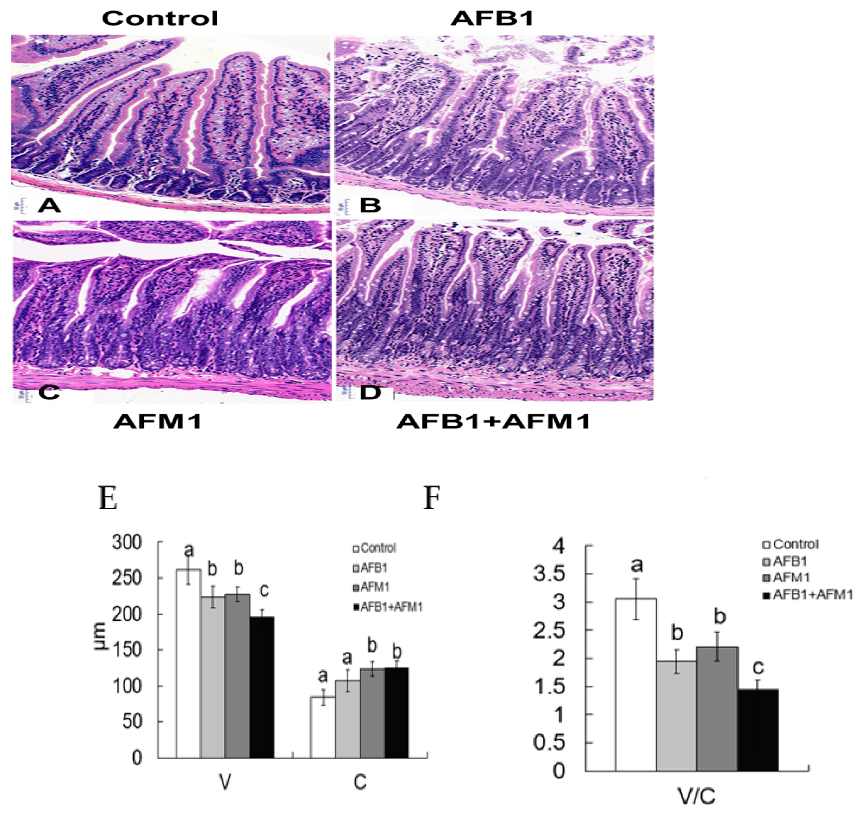 Toxins 13 00184 g003