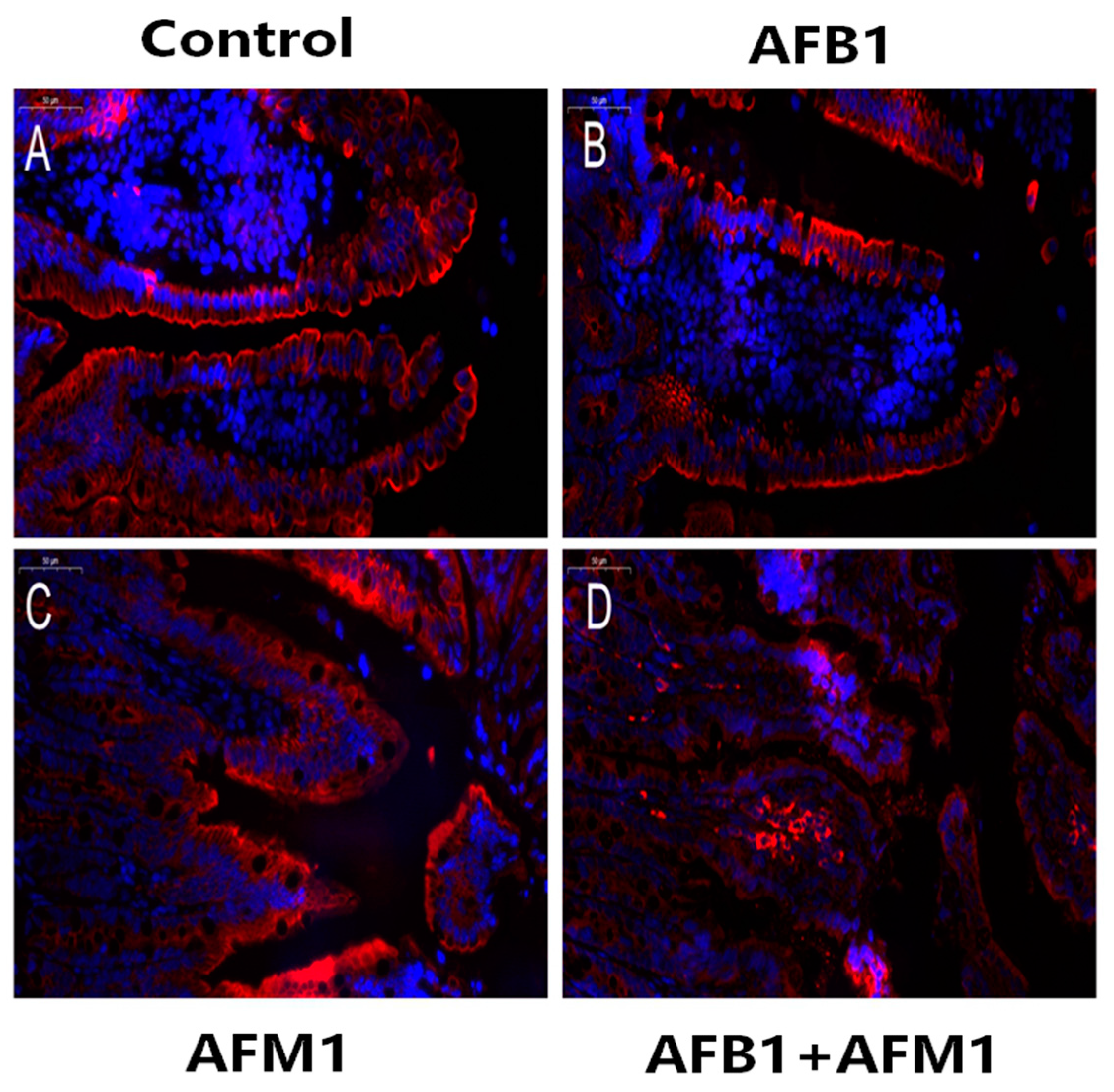 Toxins 13 00184 g004