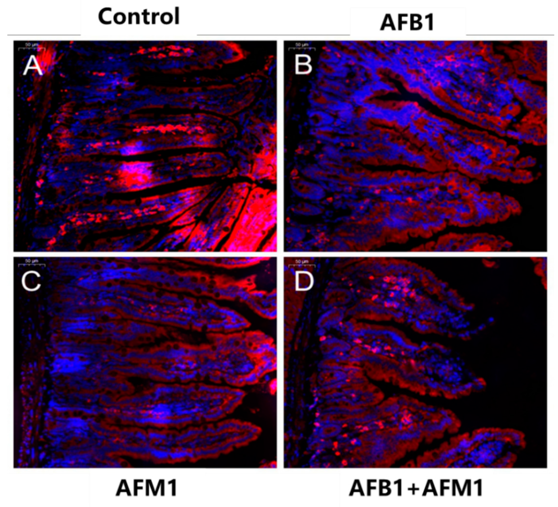 Toxins 13 00184 g005