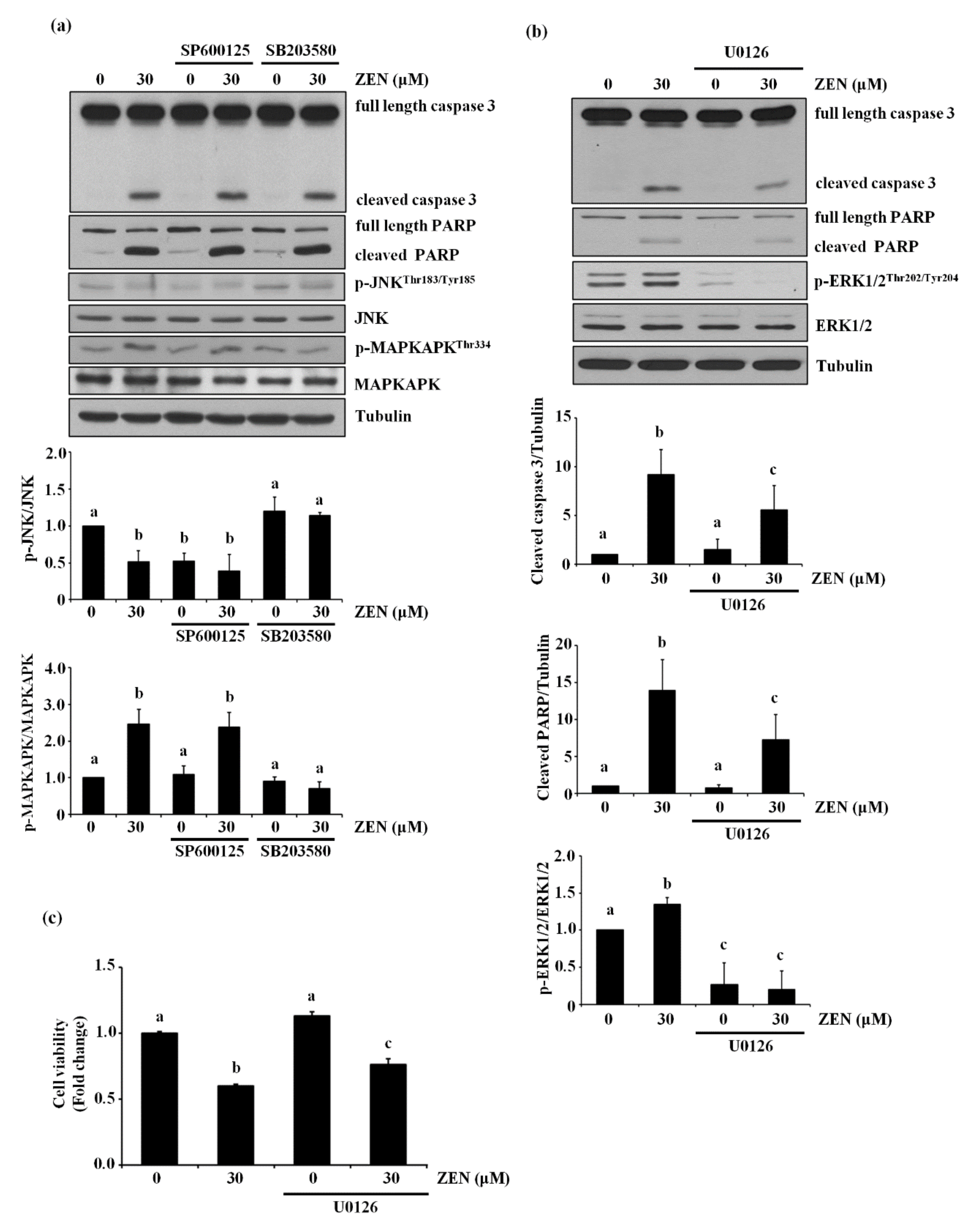 Toxins 13 00187 g002