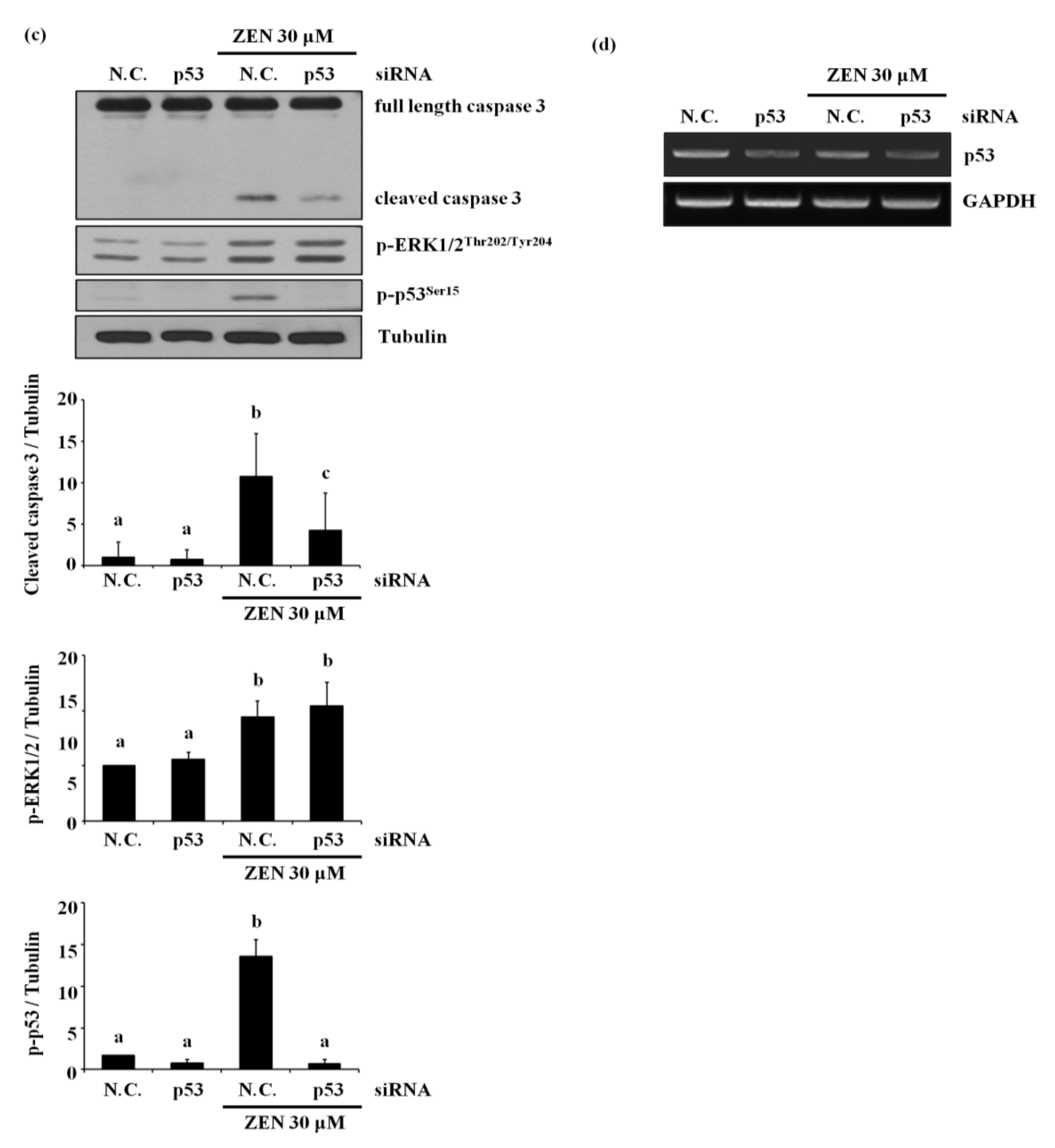Toxins 13 00187 g004b